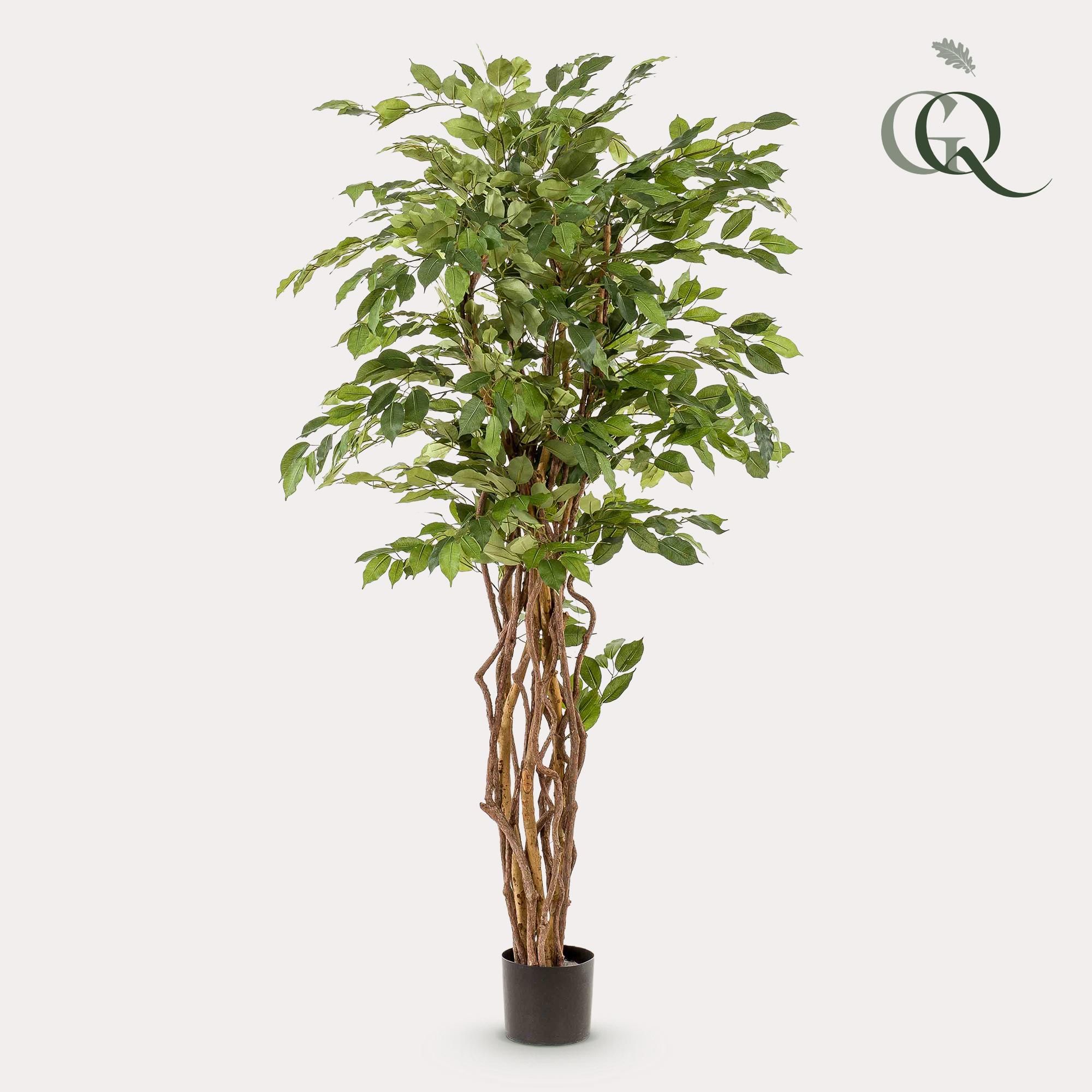 kunstplant - Ficus liana - Vioolbladplant (8720872542249)