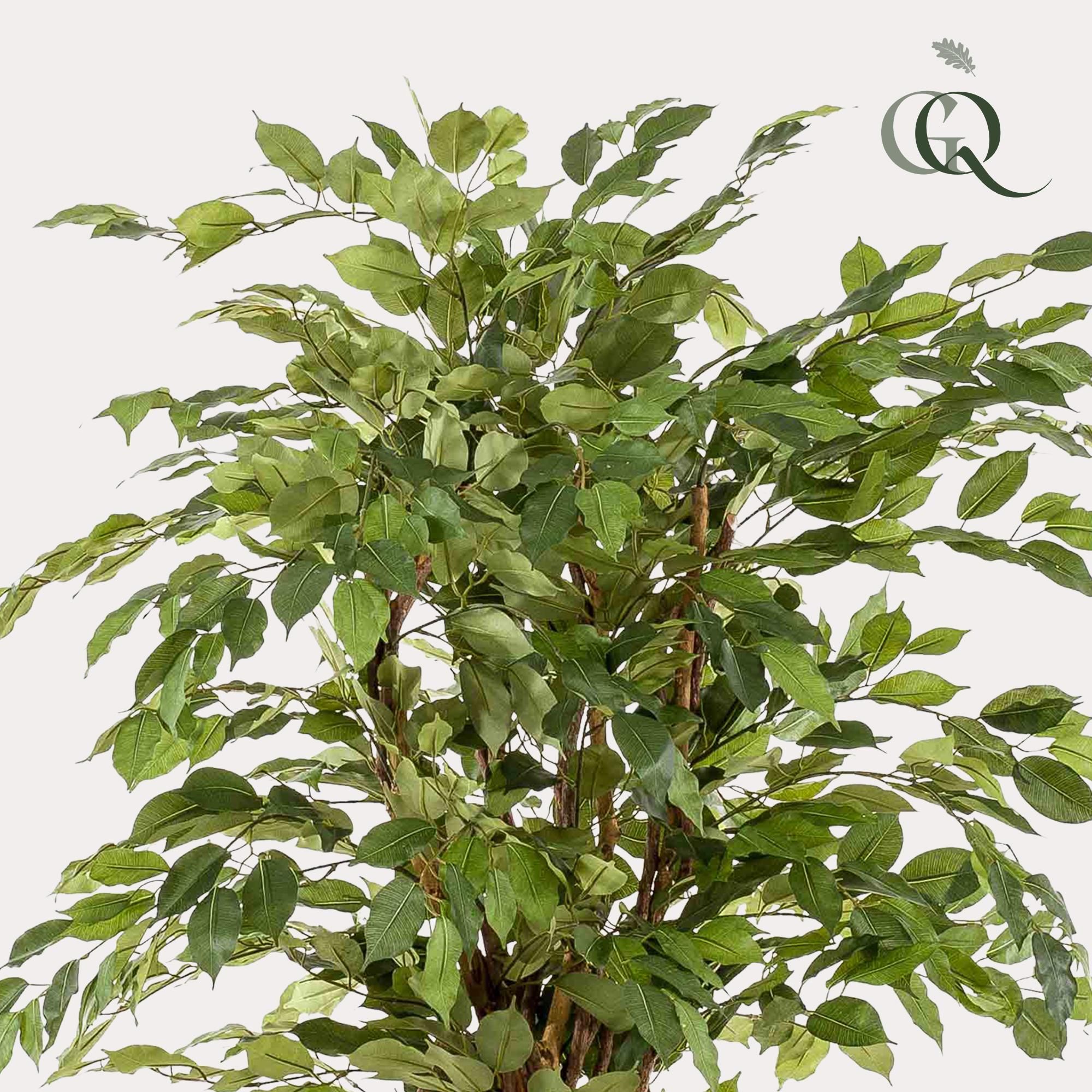kunstplant - Ficus liana - Vioolbladplant (8720872542249)