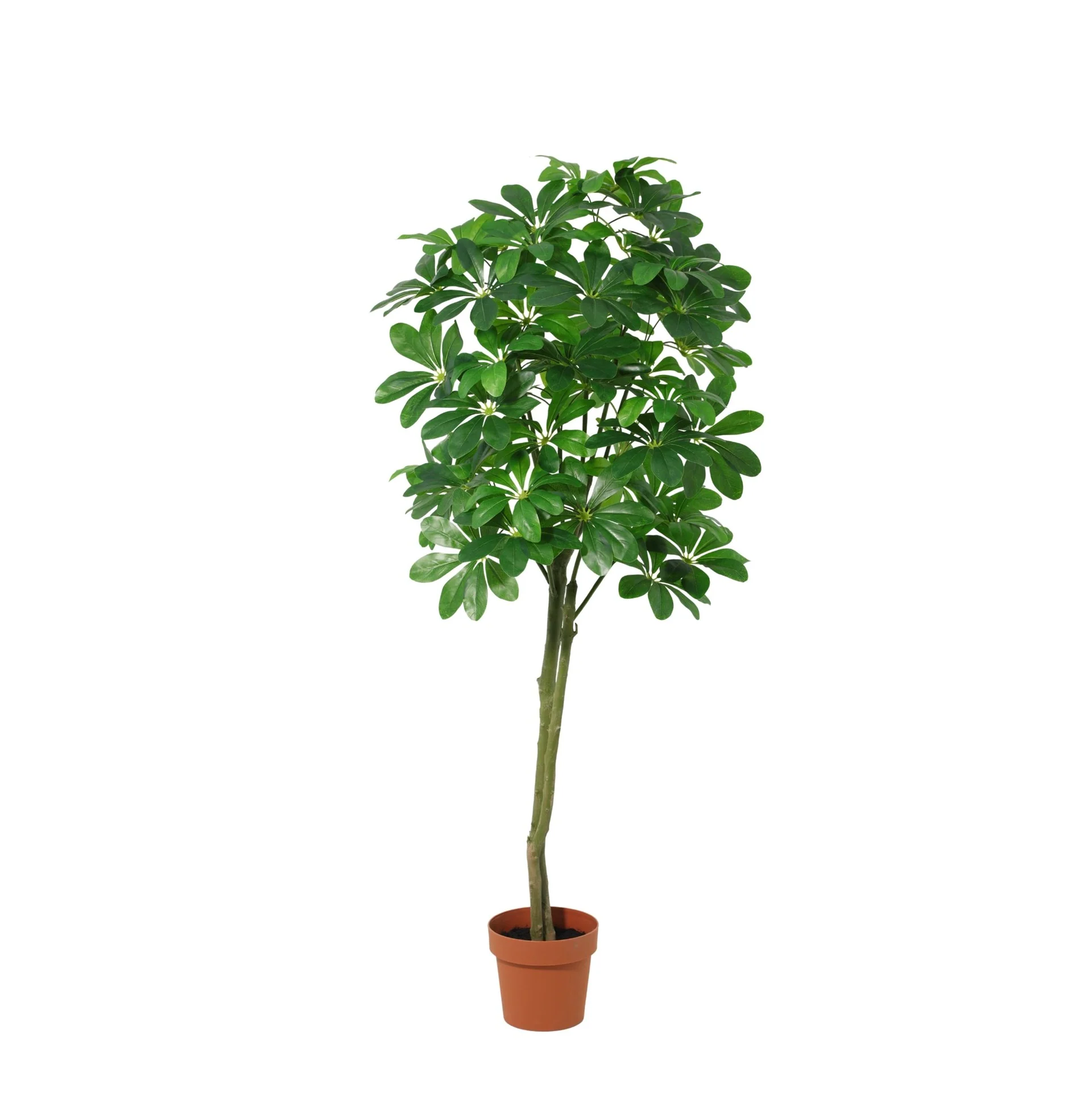 ARTIFICIAL Pachira Aquatica (51793)