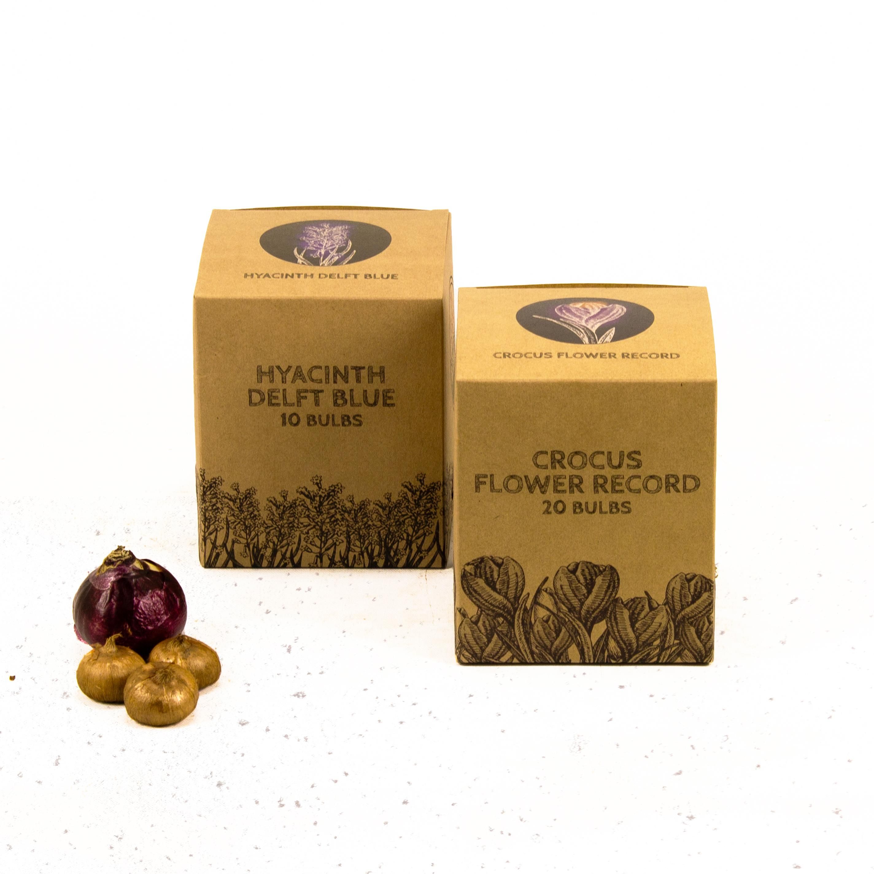 Flowerbulbs amsterdam Blue and Purple - 30 bloembollen (8720938490309)