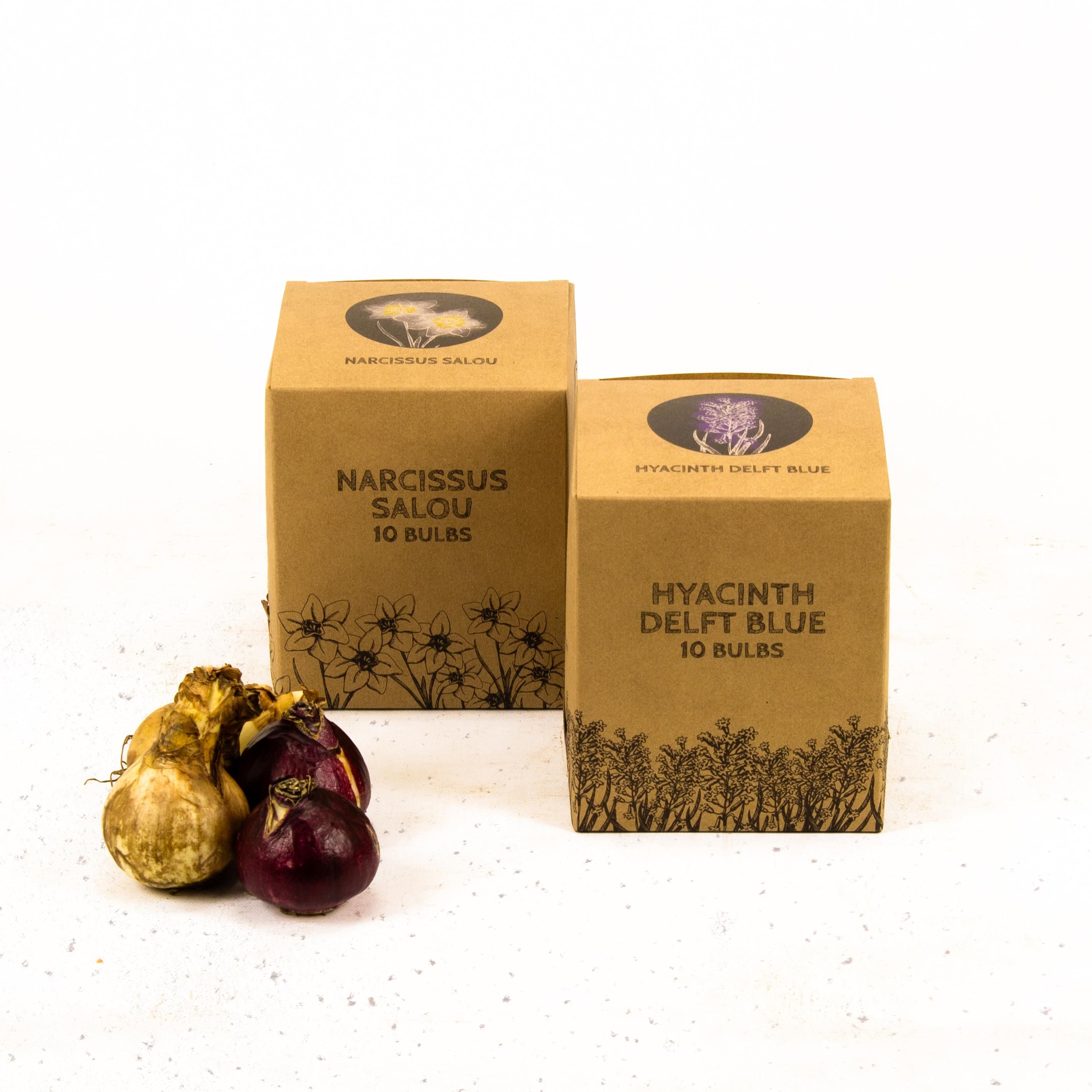 Flowerbulbs amsterdam Rob's Favorites - 20 bloembollen - Maat 12/14 (8720938490323)