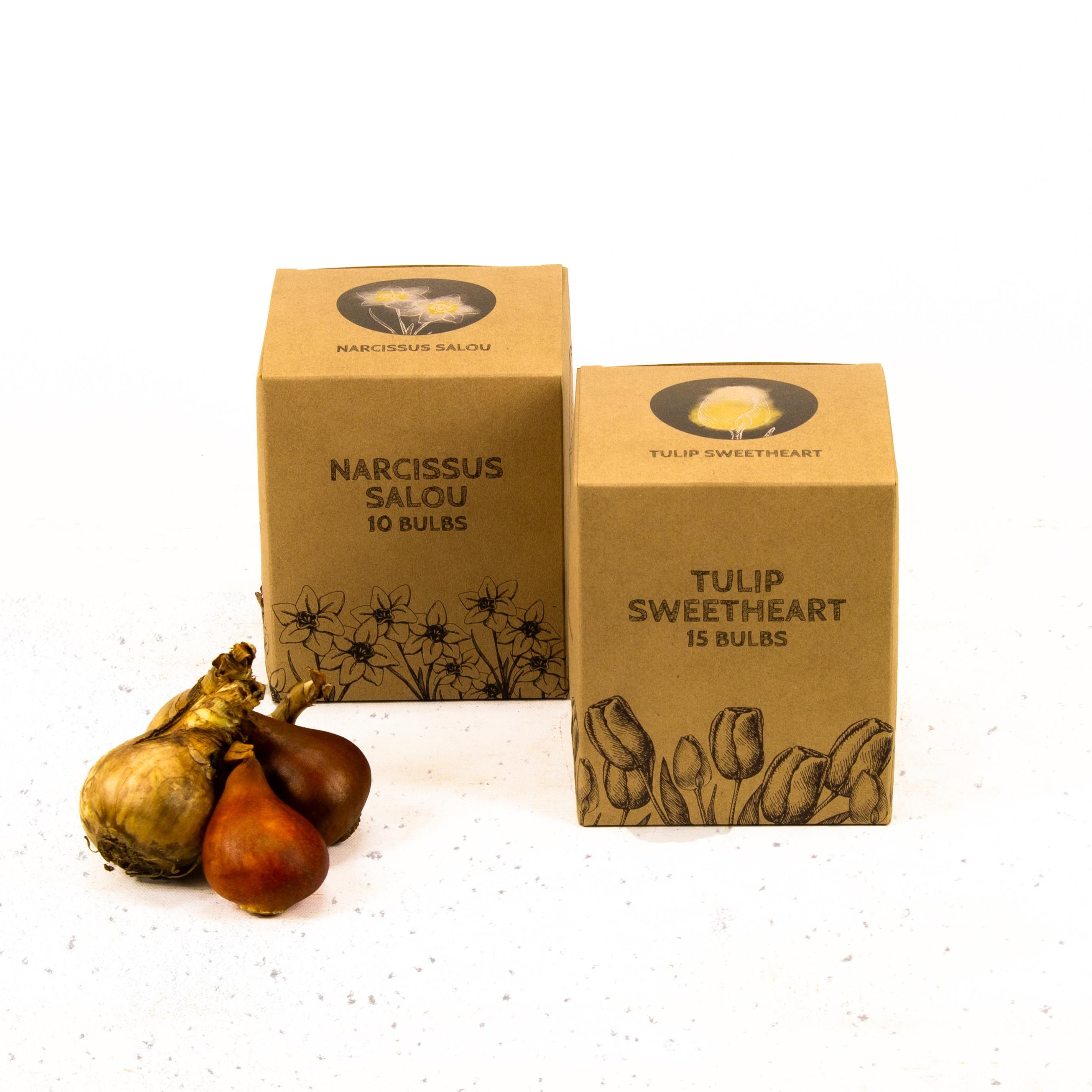 Flowerbulbs amsterdam Jacques Darlings - 25 bloembollen - Maat 12+ (8720938490354)