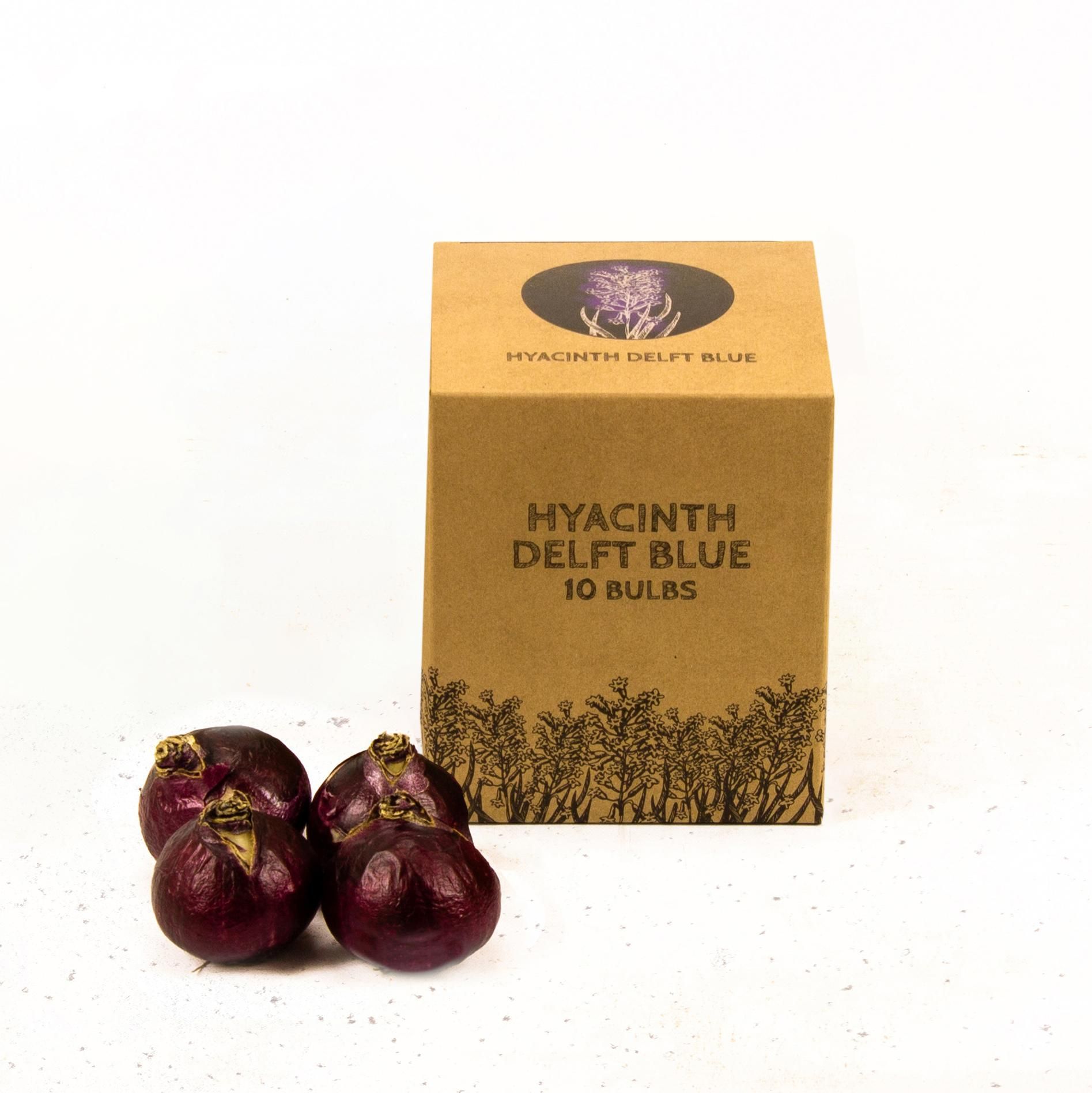 Flowerbulbs amsterdam Delft Blue- 10 bloembollen - Maat 14/15 (8720938490101)