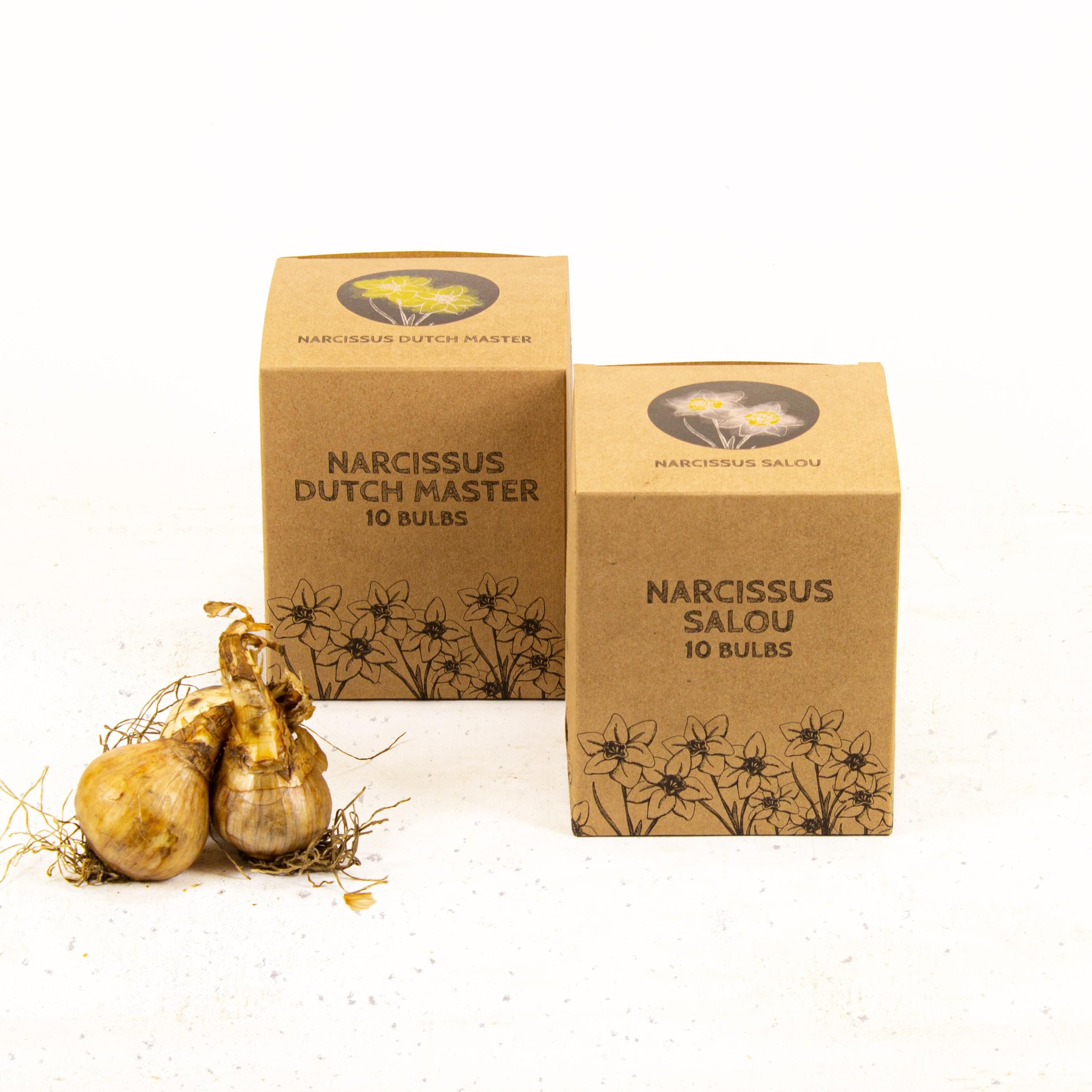 Flowerbulbs amsterdam Wild Beauty's - 20 bloembollen - Maat 12/14 (8720938490286)