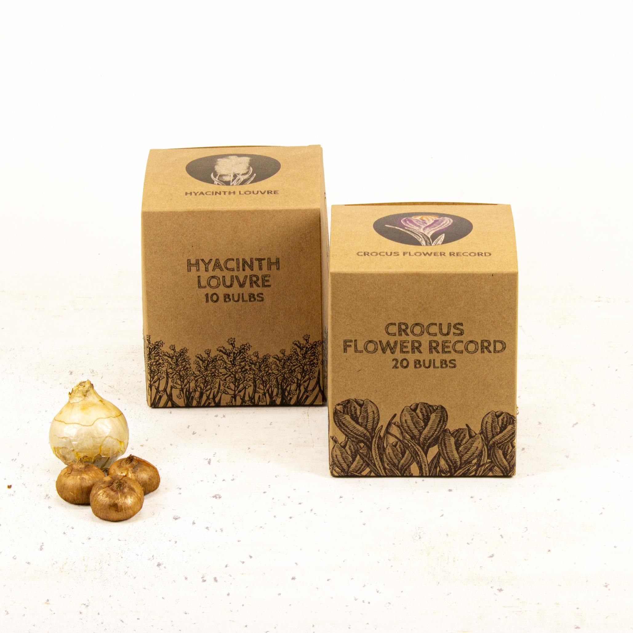 Flowerbulbs amsterdam Early Spring - 30 bloembollen (8720938490293)