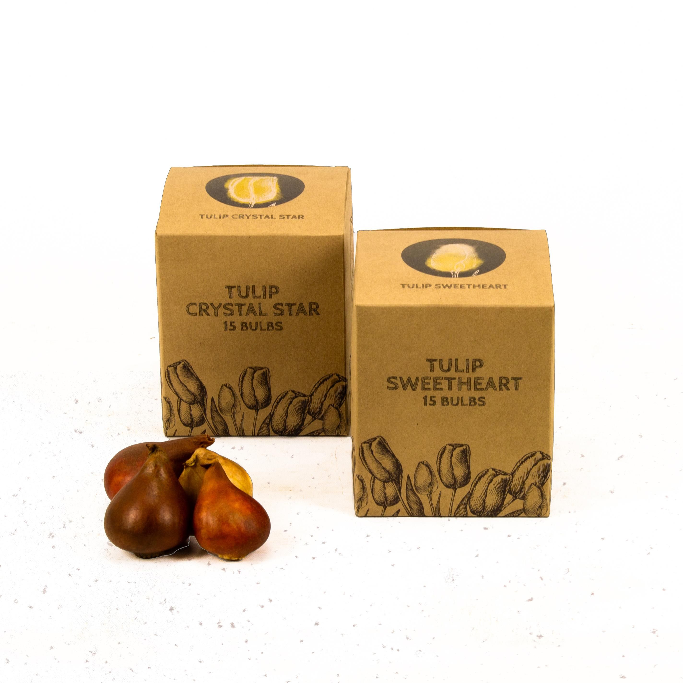 Flowerbulbs amsterdam Yellow Splash - 30 bloembollen - Maat 12+ (8720938490361)