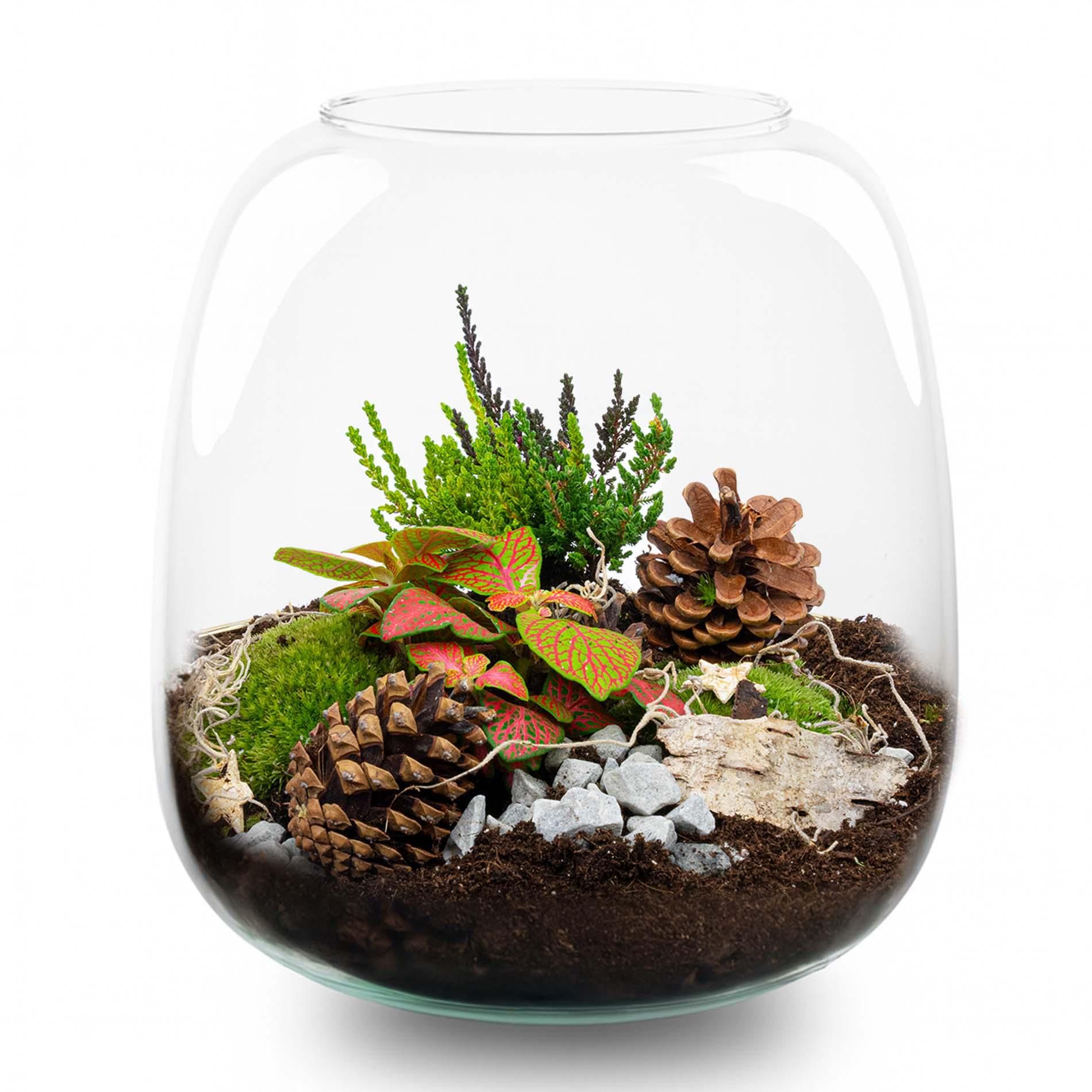 Tinsel Kerstmis terrarium - Planten terrarium - DIY kit Christmas - Ø 19 cm ↑ 20 cm (8720872025339)