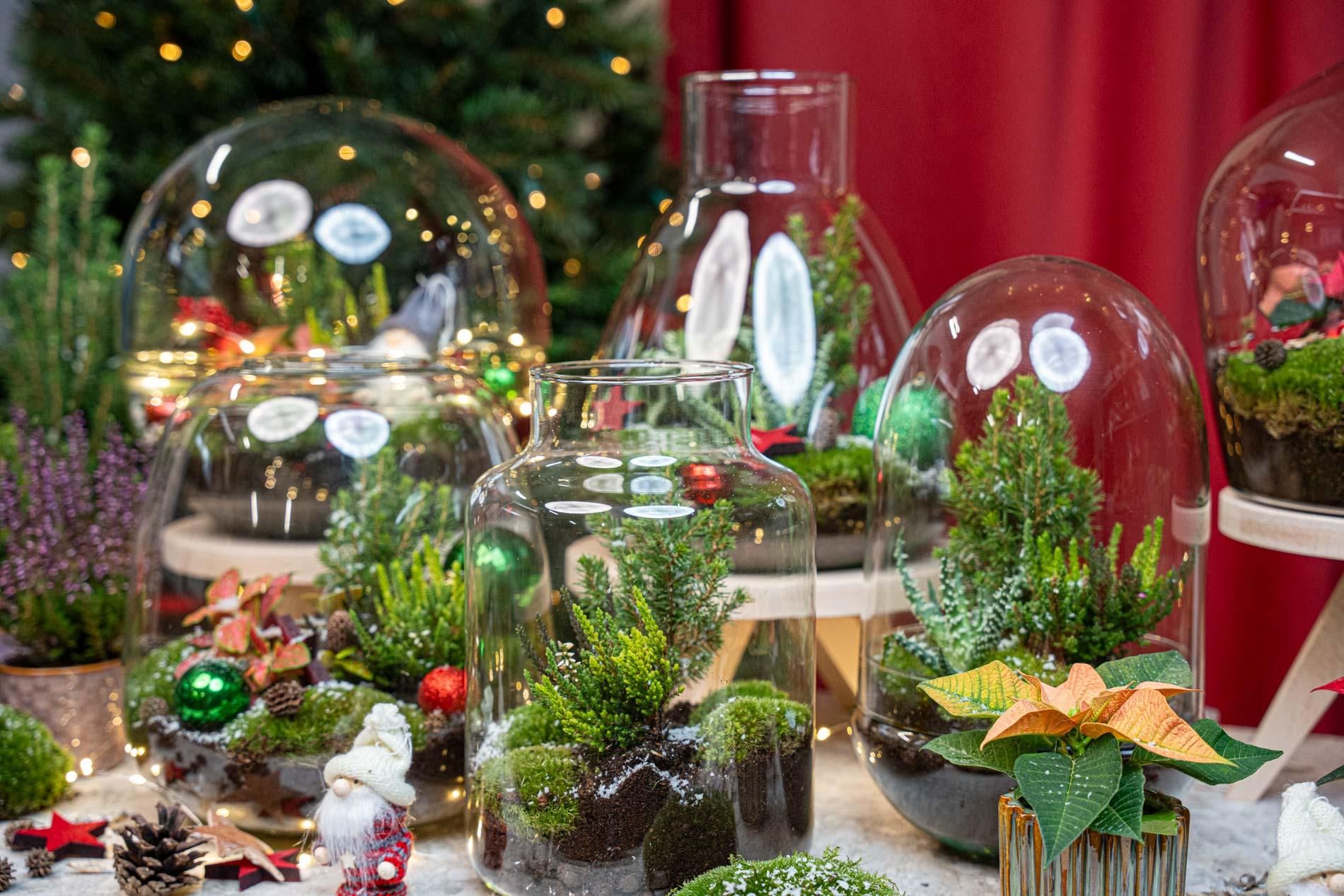 Tinsel Kerstmis terrarium - Planten terrarium - DIY kit Christmas - Ø 19 cm ↑ 20 cm (8720872025339)