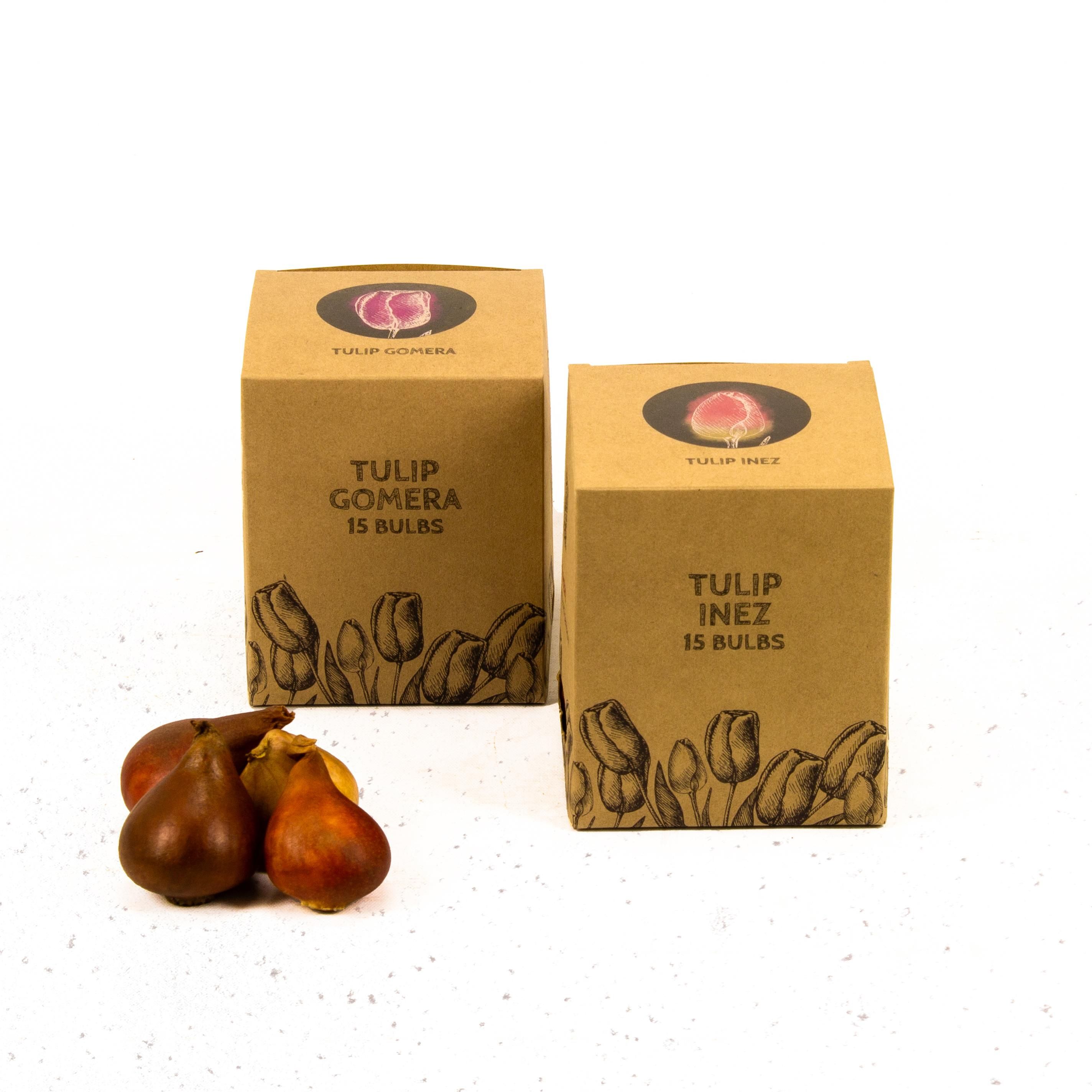 Flowerbulbs amsterdam Appie's Best - 30 bloembollen - Maat 12+ (8720938490316)