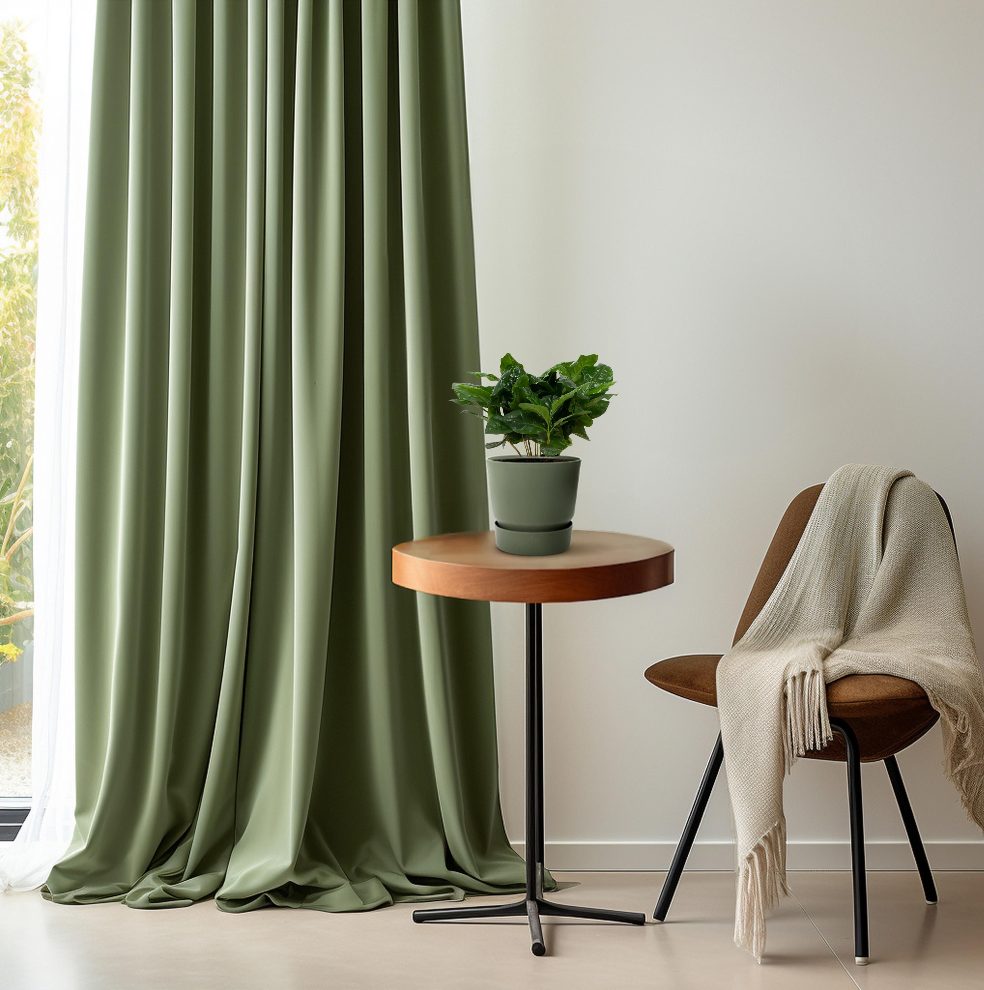 Coffea Arabica 12cm (28768)