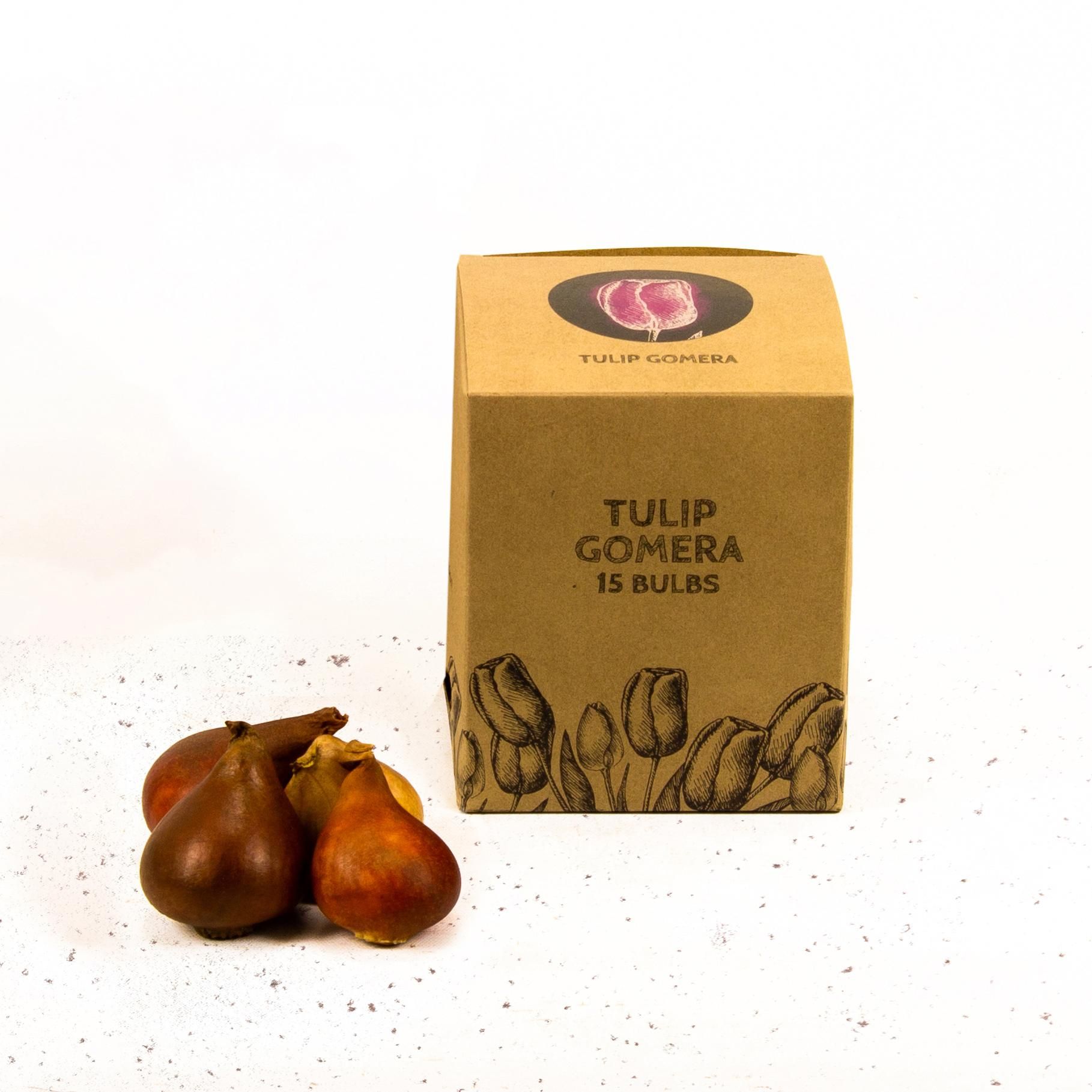 Flowerbulbs amsterdam Gomera - 15 bloembollen - Maat 12+ (8720938490019)