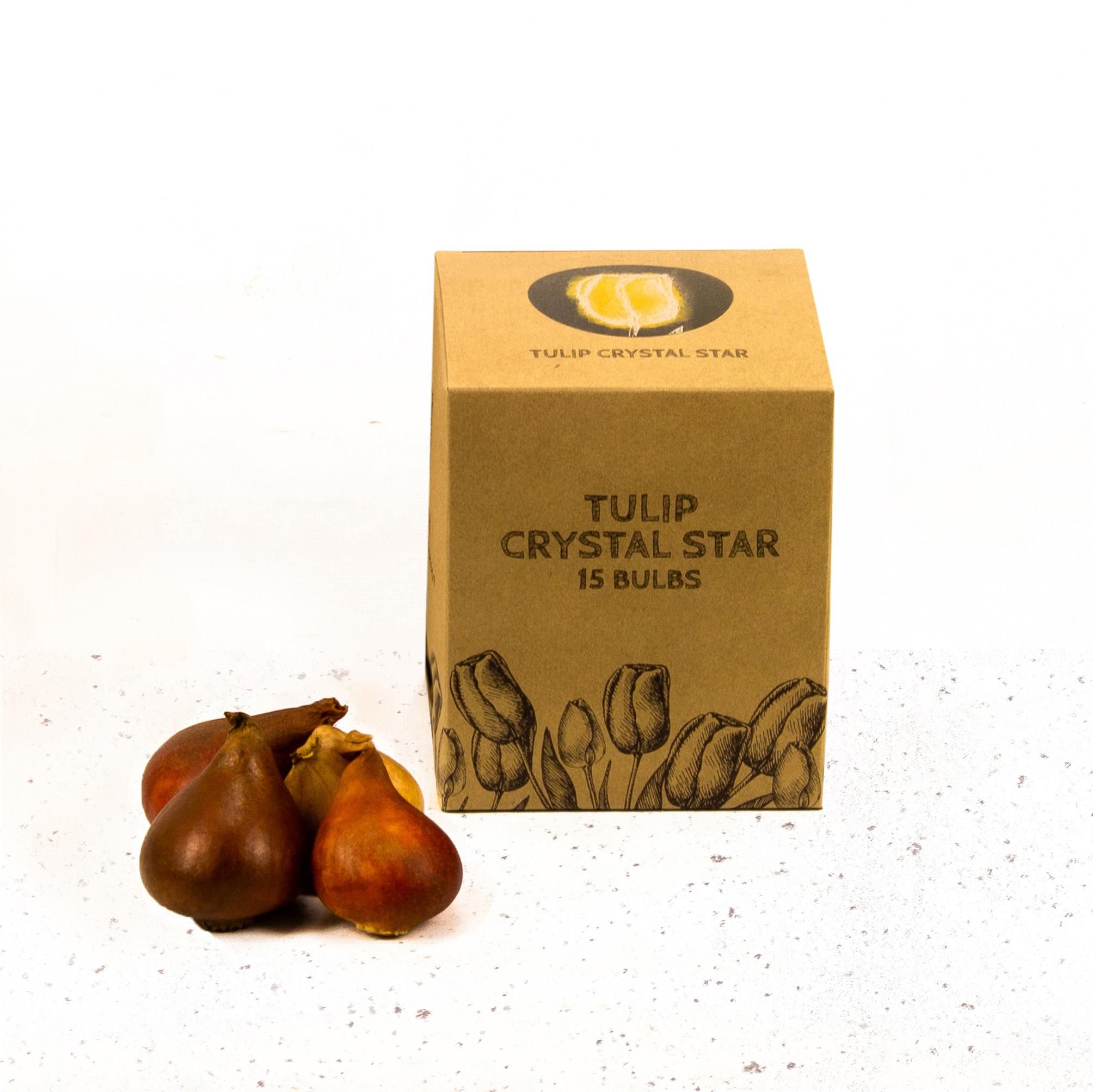 Flowerbulbs amsterdam Crystal Star - 15 bloembollen - Maat 12+ (8720938490071)