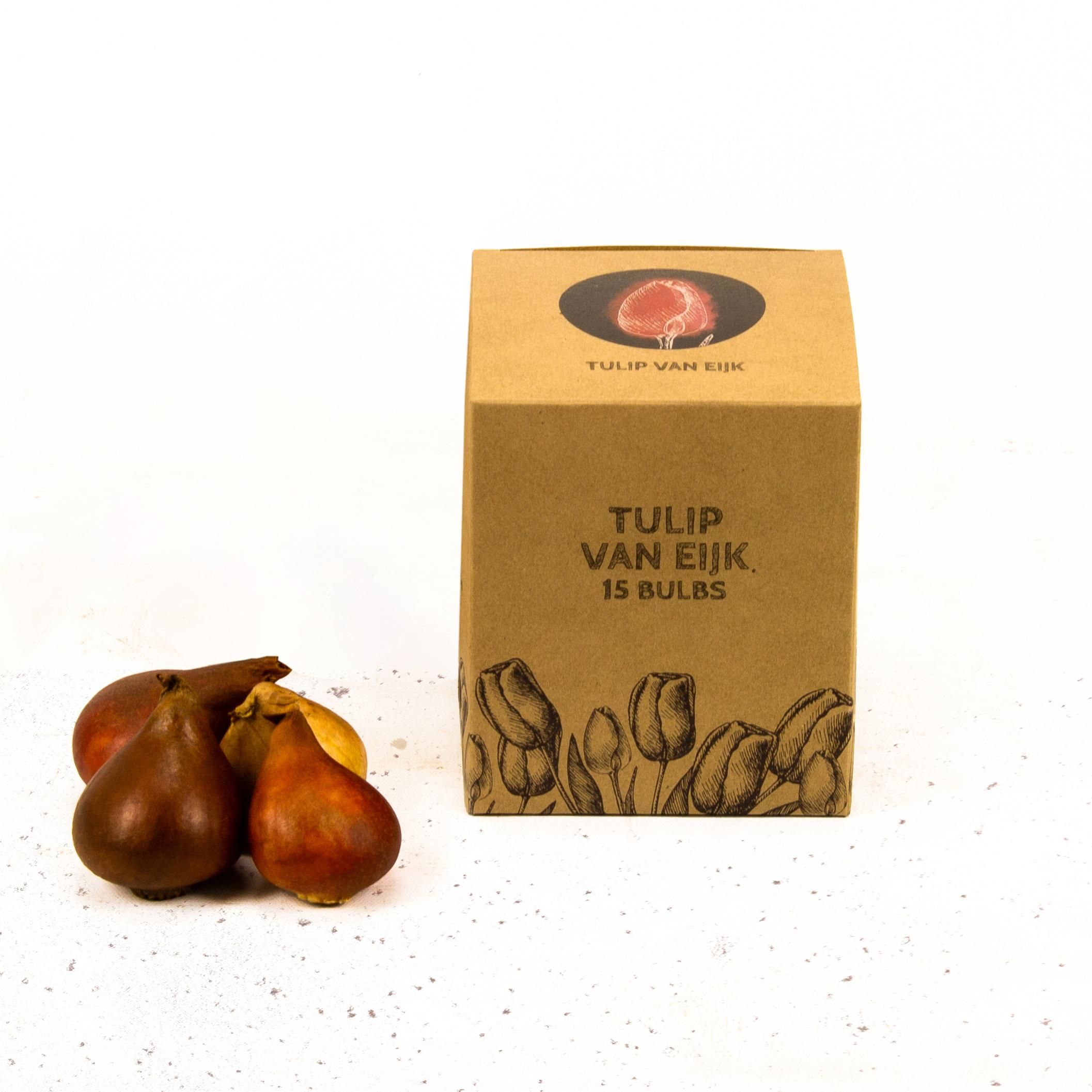 Flowerbulbs amsterdam Van Eijk - 15 bloembollen - Maat 12+ (8720938490132)