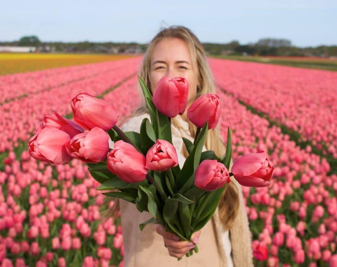 Flowerbulbs amsterdam Pink Impression - 15 bloembollen - Maat 12+ (8720938490200)