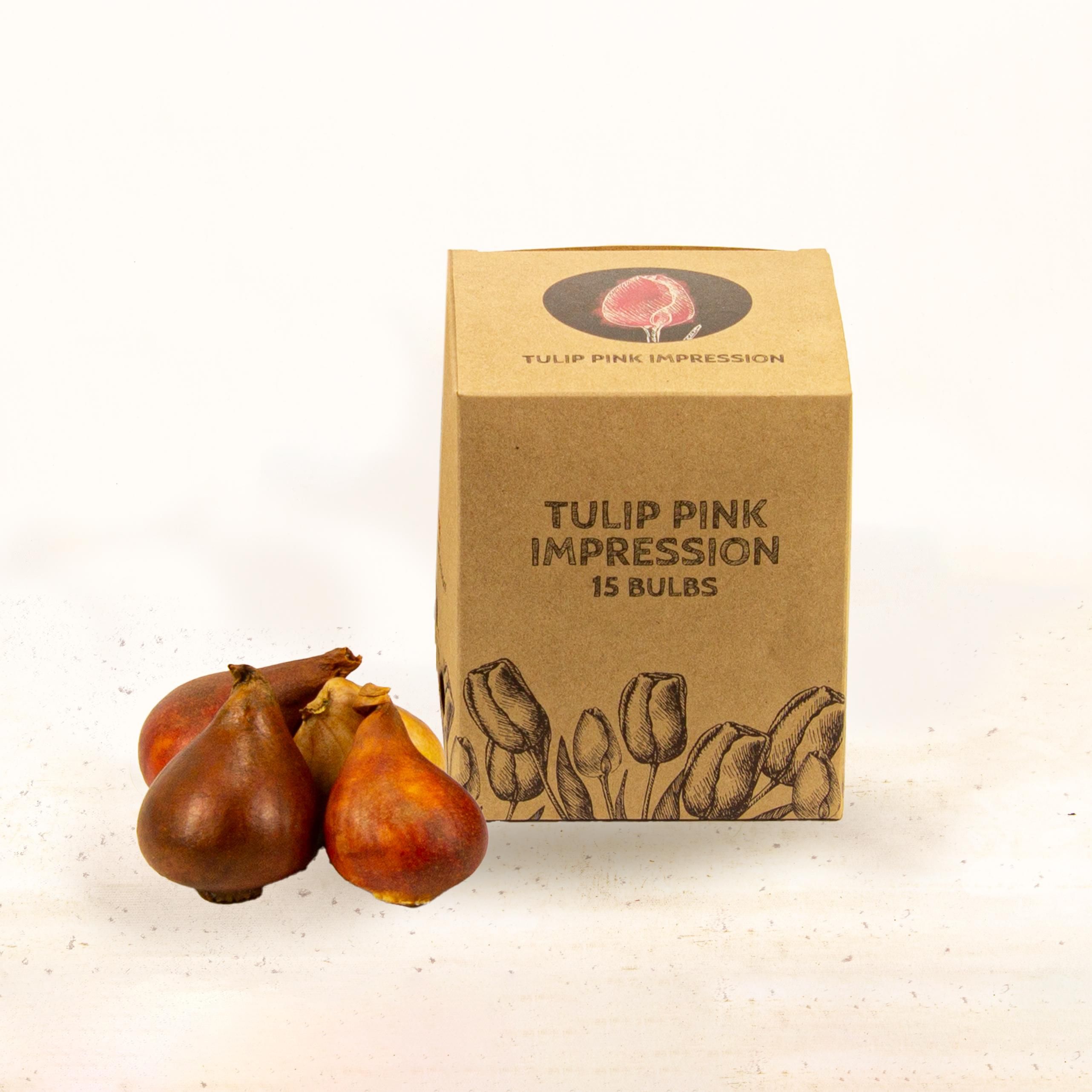 Flowerbulbs amsterdam Pink Impression - 15 bloembollen - Maat 12+ (8720938490200)