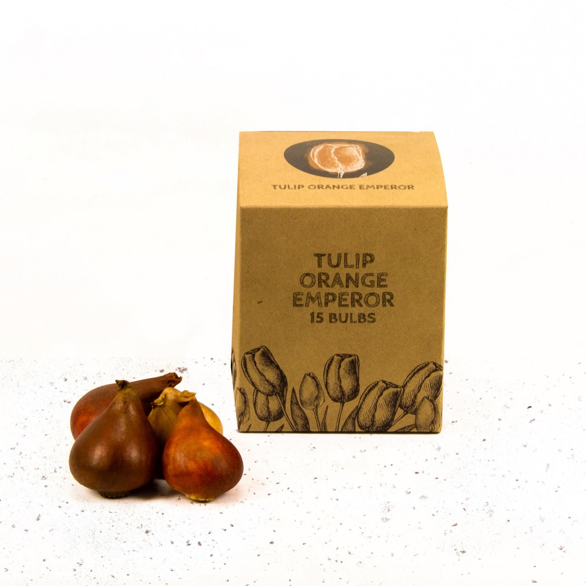 Flowerbulbs amsterdam Orange Emperor - 15 bloembollen - Maat 12+ (8720938490149)