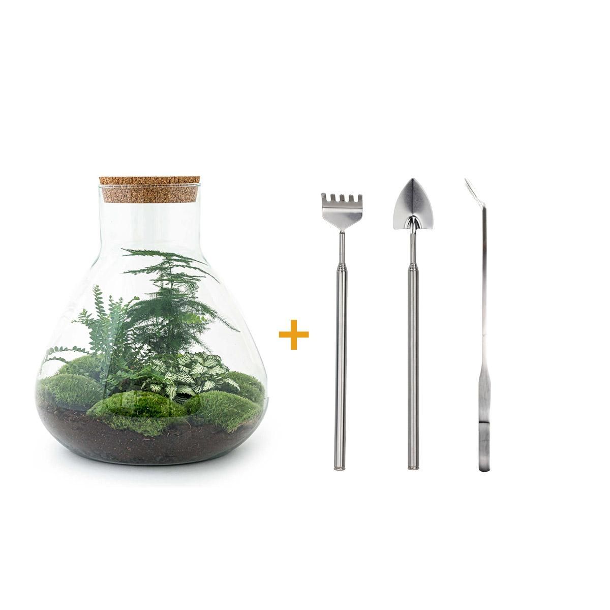 DIY Planten terrarium met licht - Sam XL Green - Ø 30 cm ↑ 32 cm - Rake + Shovel + Tweezer (8720726958042)