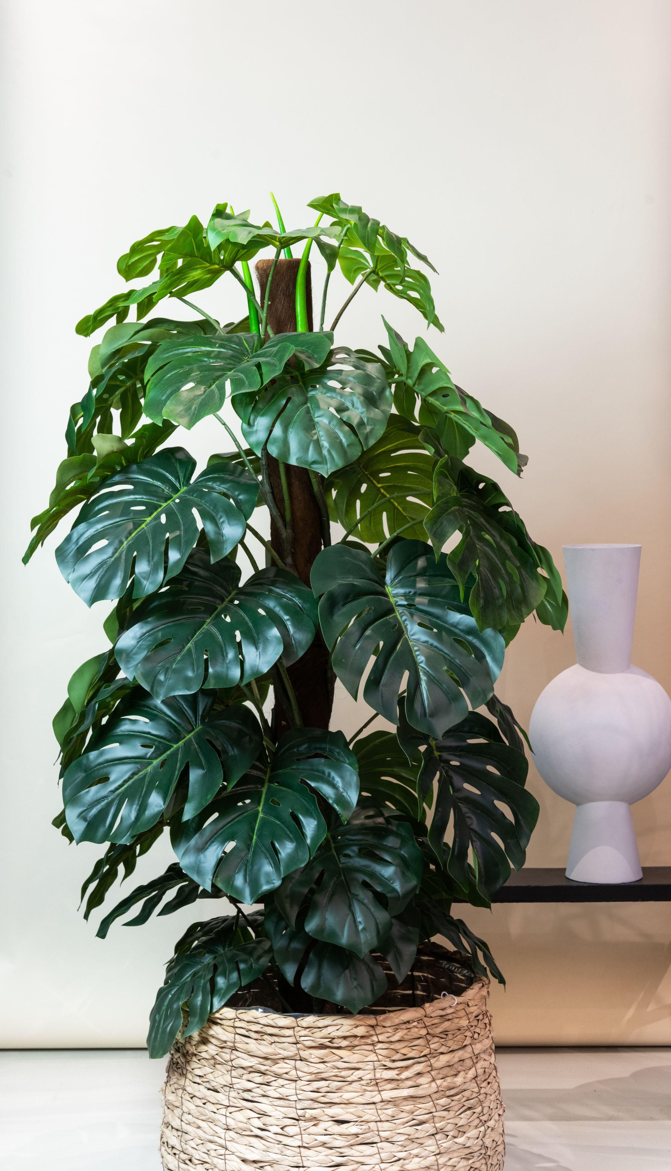 Monstera Deliciosa - kunstplant - 180 cm (8720872540474)