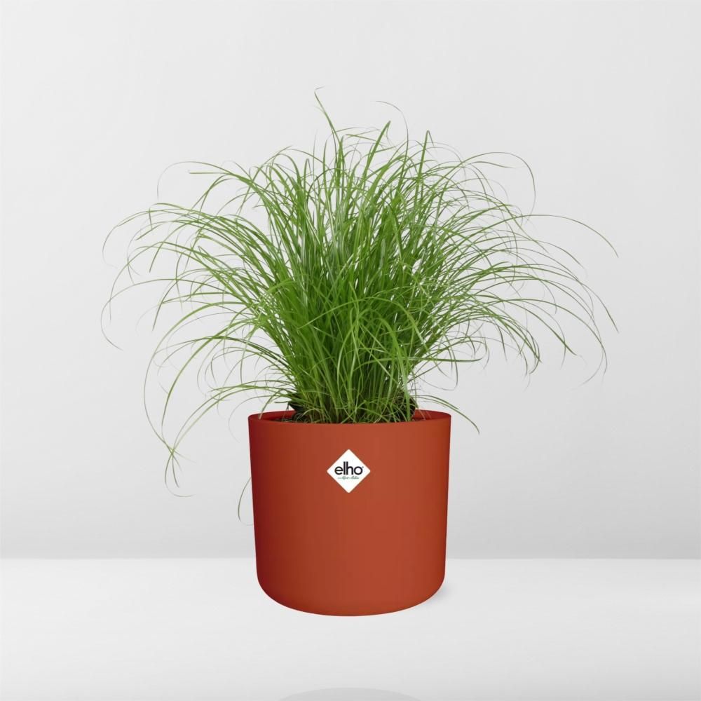 Cyperus Alternifolius Zumula Zonder Etiket in ELHO b.for soft rond 14cm brique (21489)