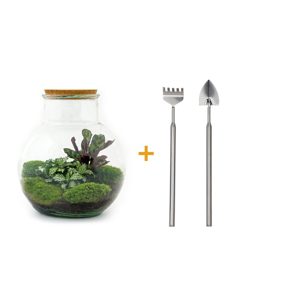 DIY Planten terrarium (met licht) - Teddy - Ø 25 cm ↑ 26,5 cm - Rake + Shovel (8720726958387)