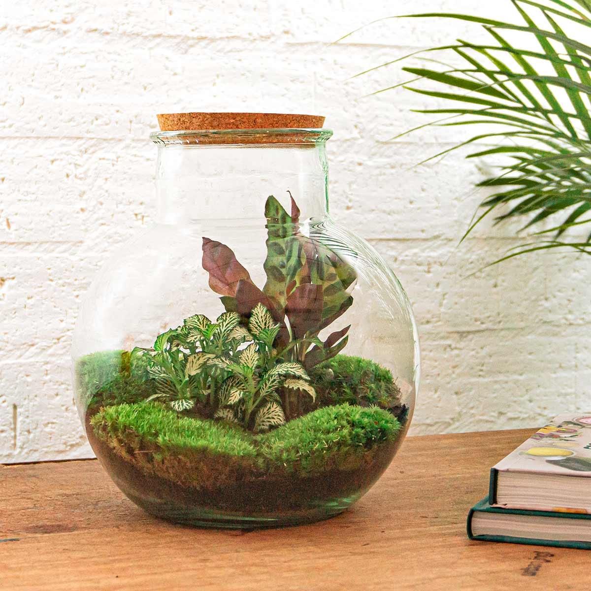 DIY Planten terrarium (met licht) - Teddy - Ø 25 cm ↑ 26,5 cm - Rake + Shovel (8720726958387)
