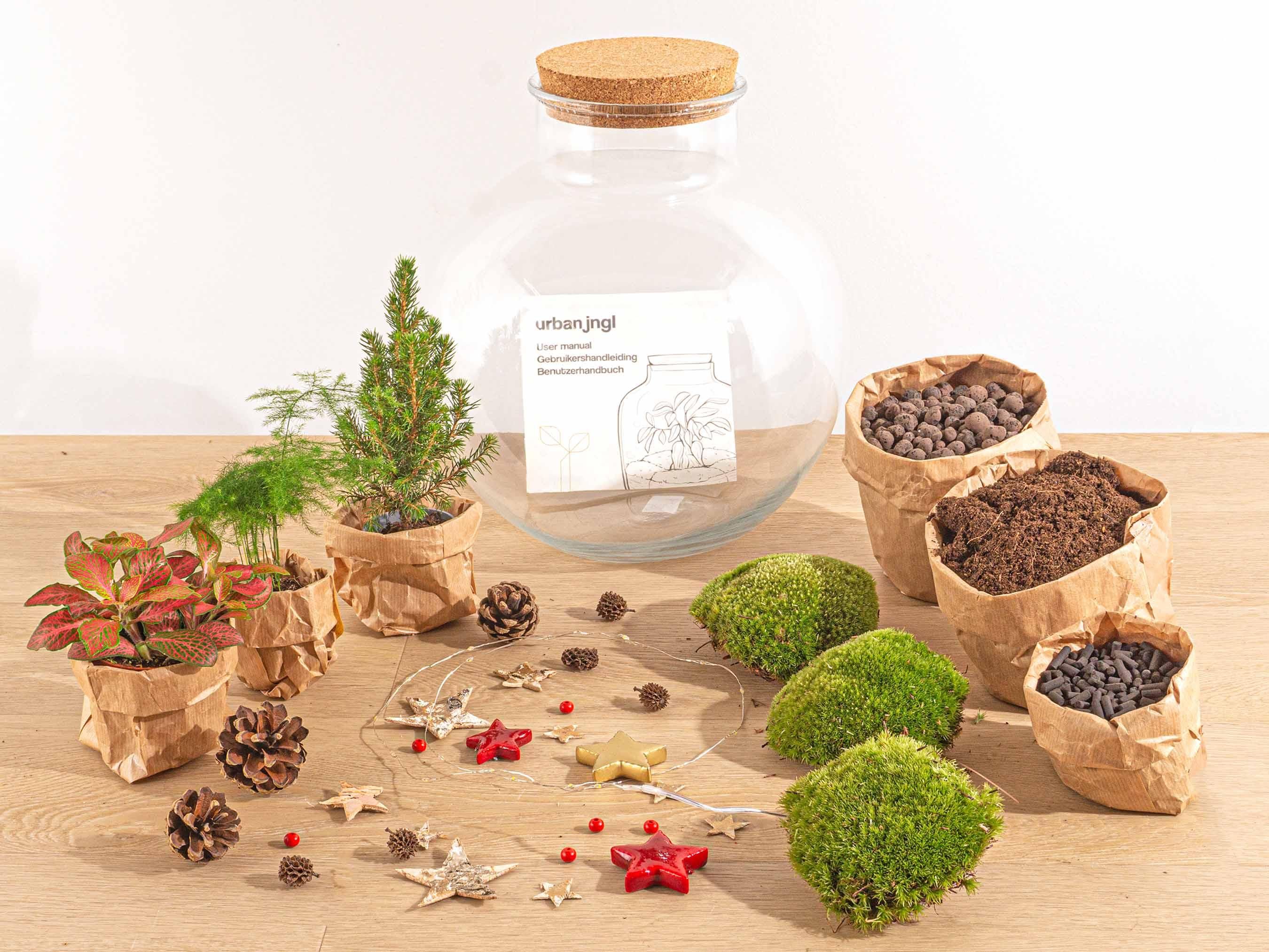 Bolder Bob Bonsai Christmas - DIY (23488)