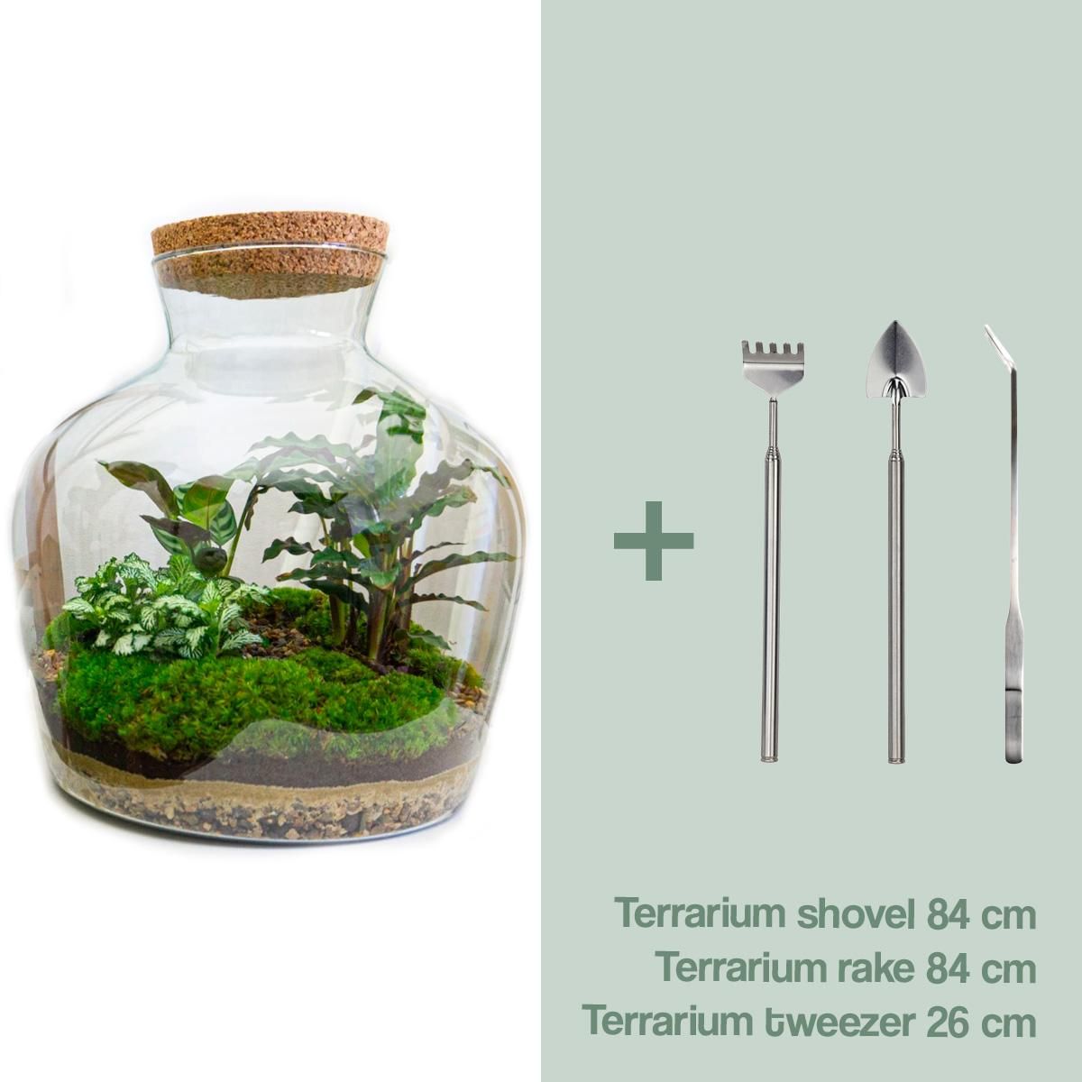 DIY Planten terrarium met licht - Fat Joe - Ø 29 cm ↑ 30 cm - Rake + Shovel + Tweezer (8720726958530)
