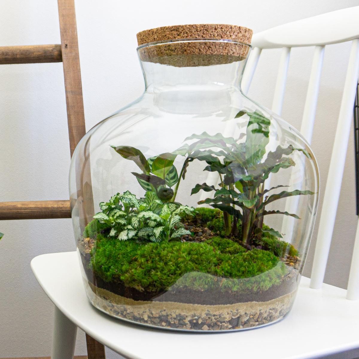 DIY Planten terrarium met licht - Fat Joe - Ø 29 cm ↑ 30 cm - Rake + Shovel + Tweezer (8720726958530)