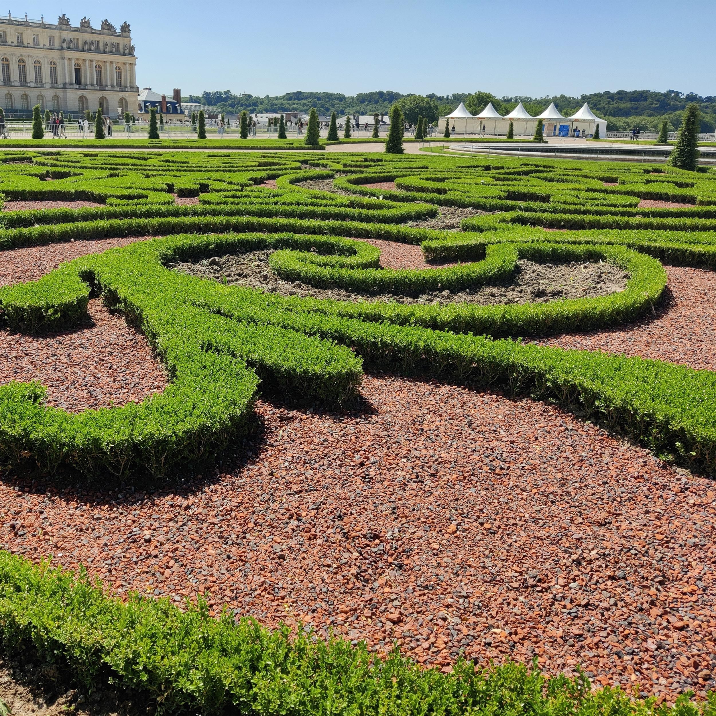 Buxus Haag - BetterBuxus Babylon Beauty - Resistant tegen de Buxus schimmel - 12 planten - 2 strekkende meter - pot 13cm hoogte 30-35 (8720862103559)