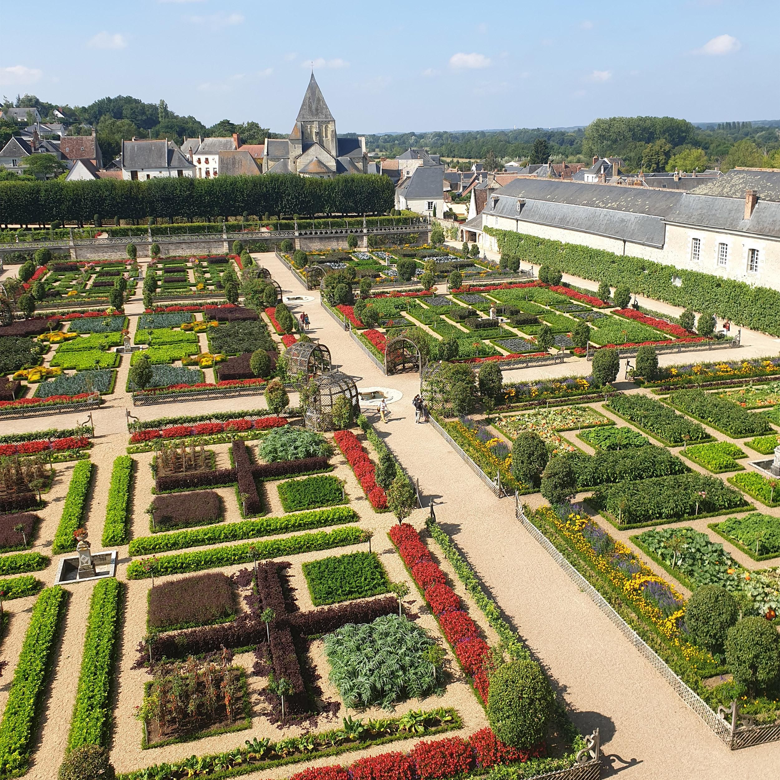 Buxus Haag - BetterBuxus Babylon Beauty - Resistant tegen de Buxus schimmel - 12 planten - 2 strekkende meter - pot 13cm hoogte 30-35 (8720862103559)