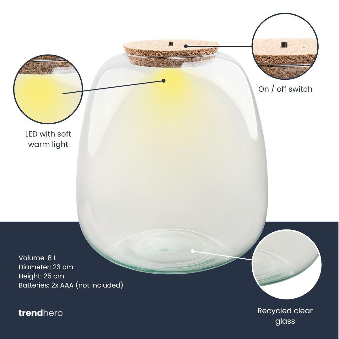 Terrarium fles met verlichting - Emma - Ø 23 cm ↑ 25 cm (8720872024448)