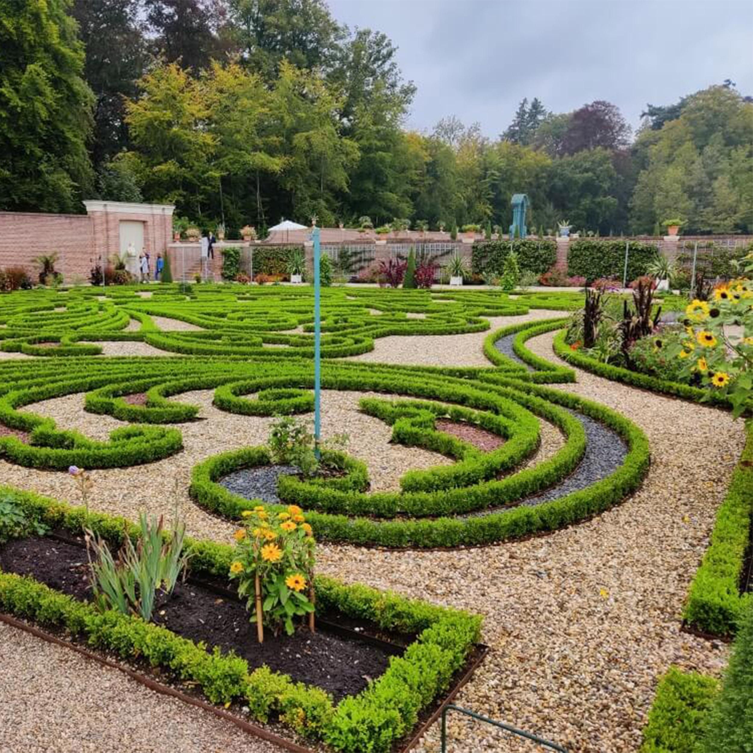 Buxus Haag - BetterBuxus Babylon Beauty - Resistant tegen de Buxus schimmel - 16 planten - 2 strekkende meter - pot 9cm hoogte 20-25 (8720862103535)