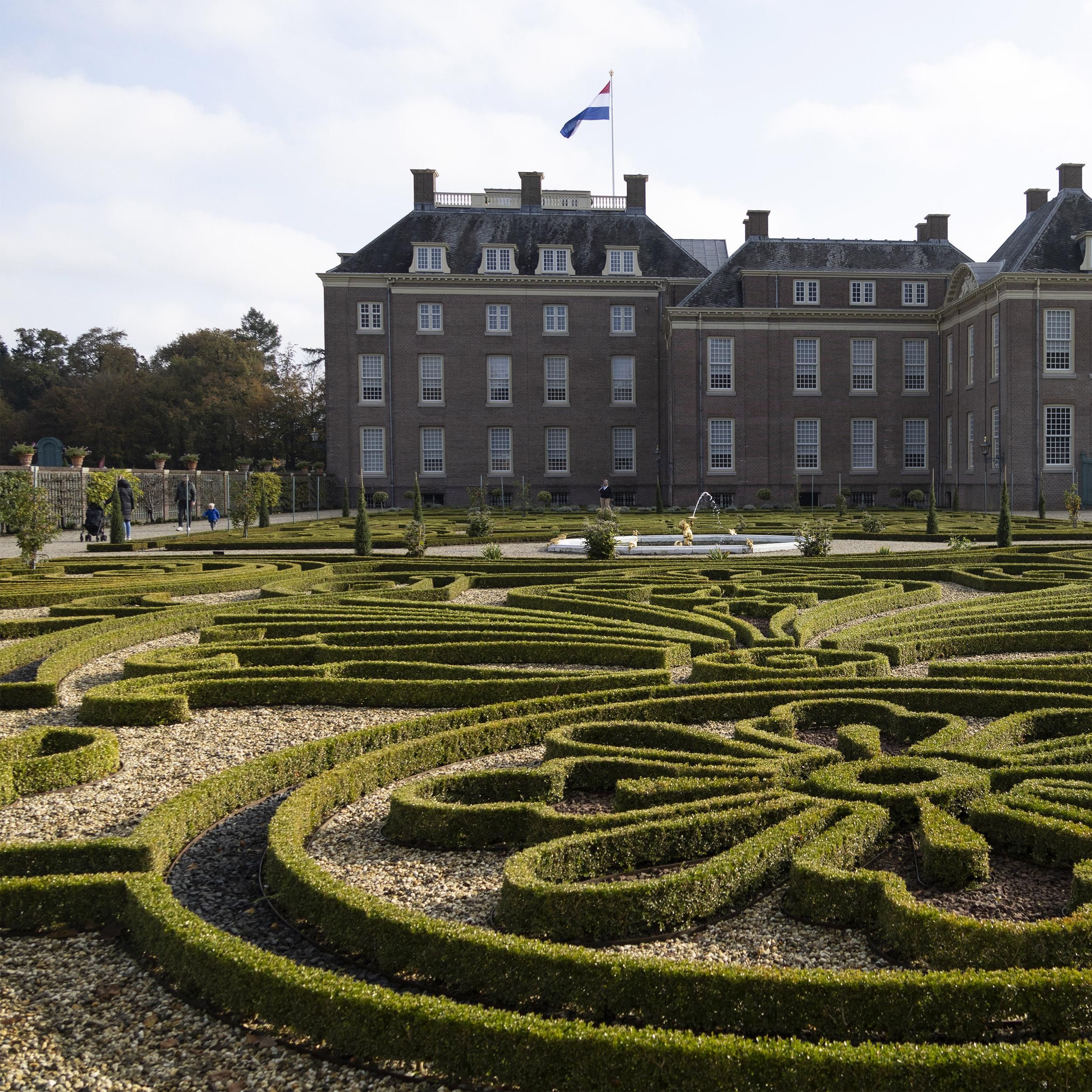 Buxus Haag - BetterBuxus Babylon Beauty - Resistant tegen de Buxus schimmel - 16 planten - 2 strekkende meter - pot 9cm hoogte 20-25 (8720862103535)