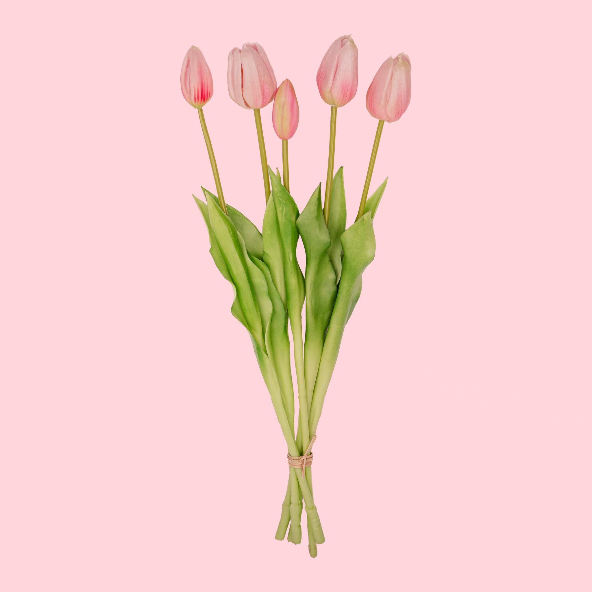Vaas Aardbeien meisje + 10x real touch Tulp Pink (8720872023809)