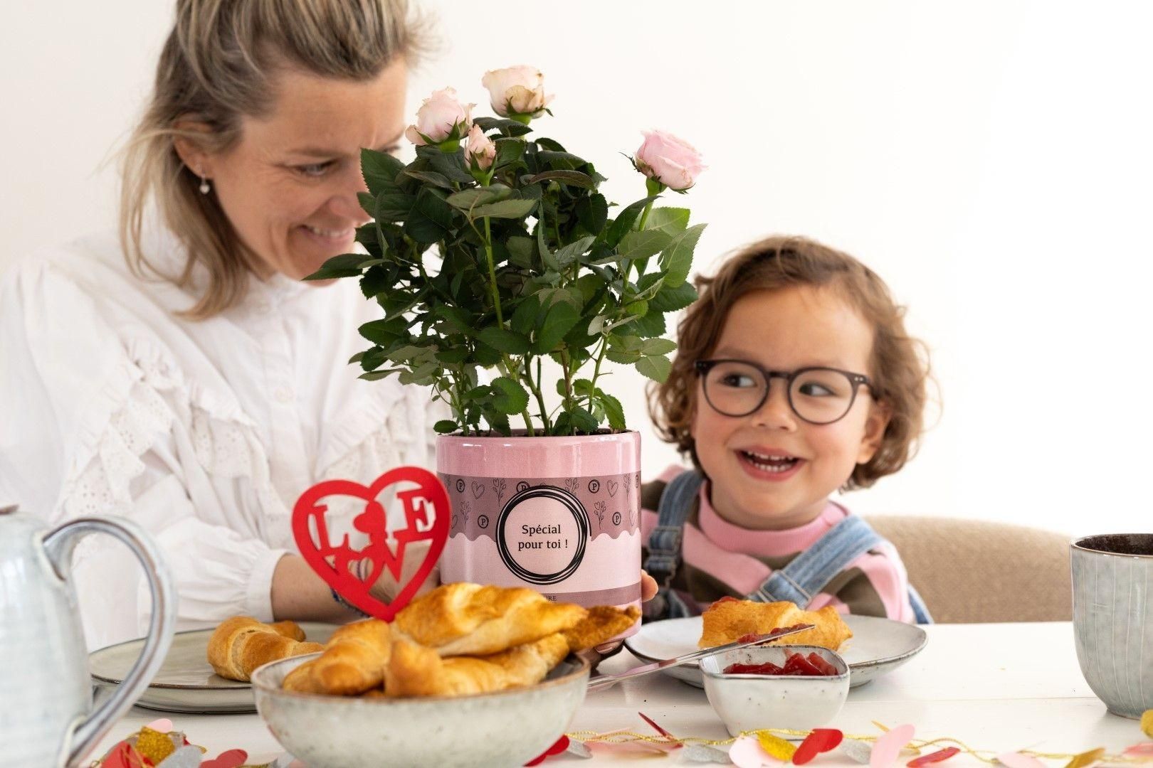 Rosa Light Pink In P&PURE "SPECIAL POUR TOI" Verpakking (53385)