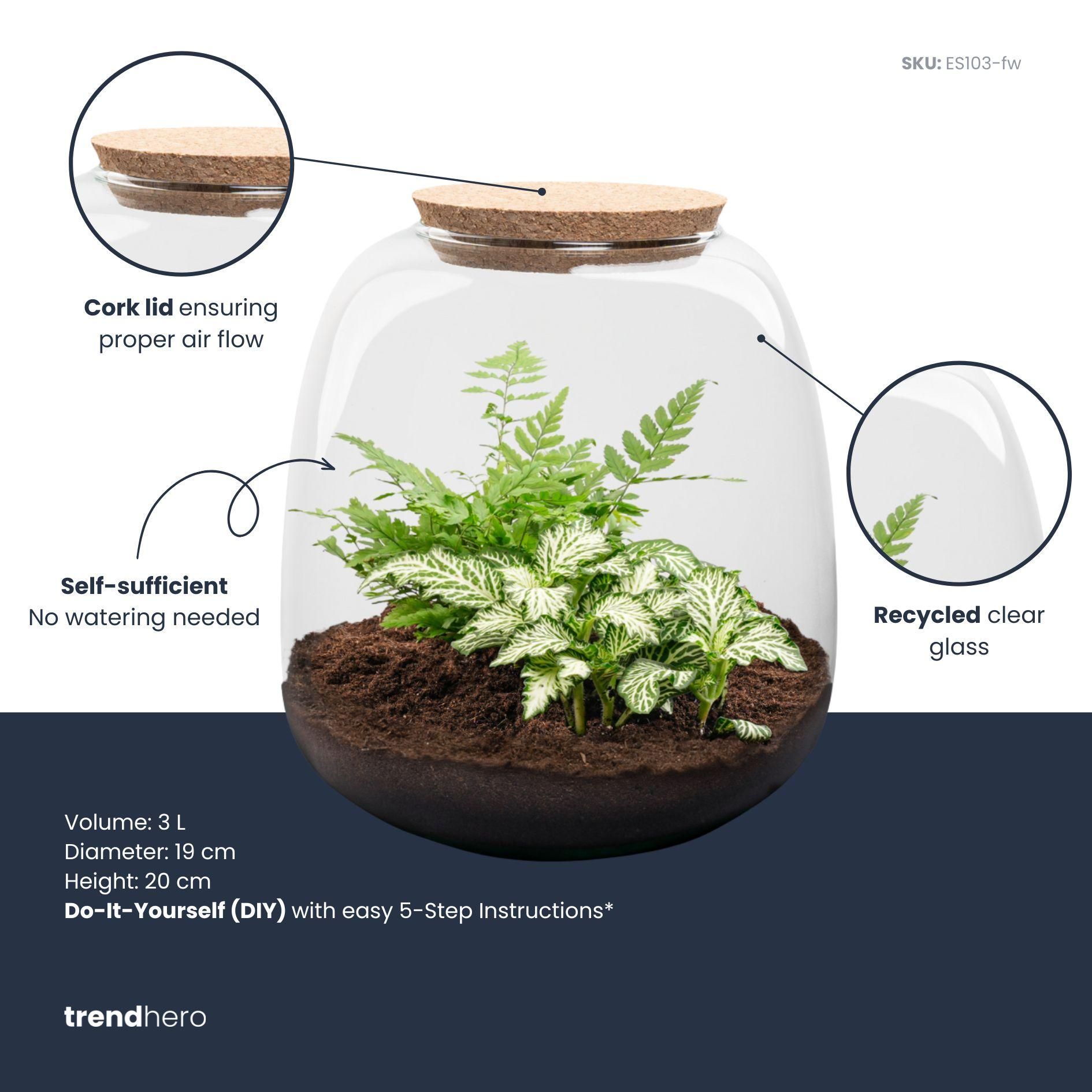 Planten terrarium - Emma Mini - DIY kit - Ø 19 cm - Fittonia White Tiger (8720872022314)