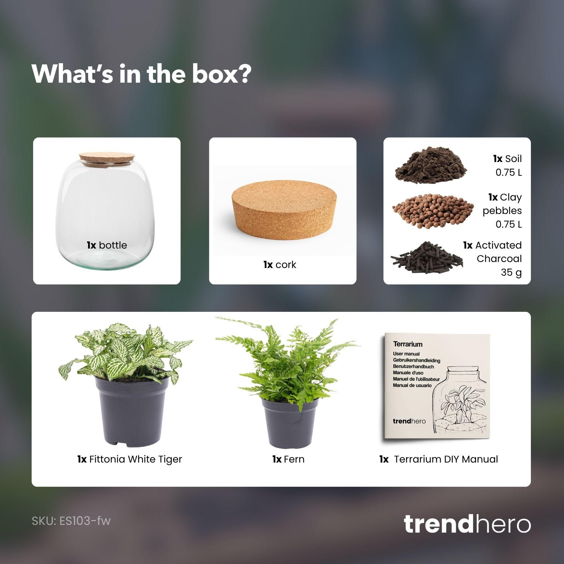 Planten terrarium - Emma Mini - DIY kit - Ø 19 cm - Fittonia White Tiger (8720872022314)