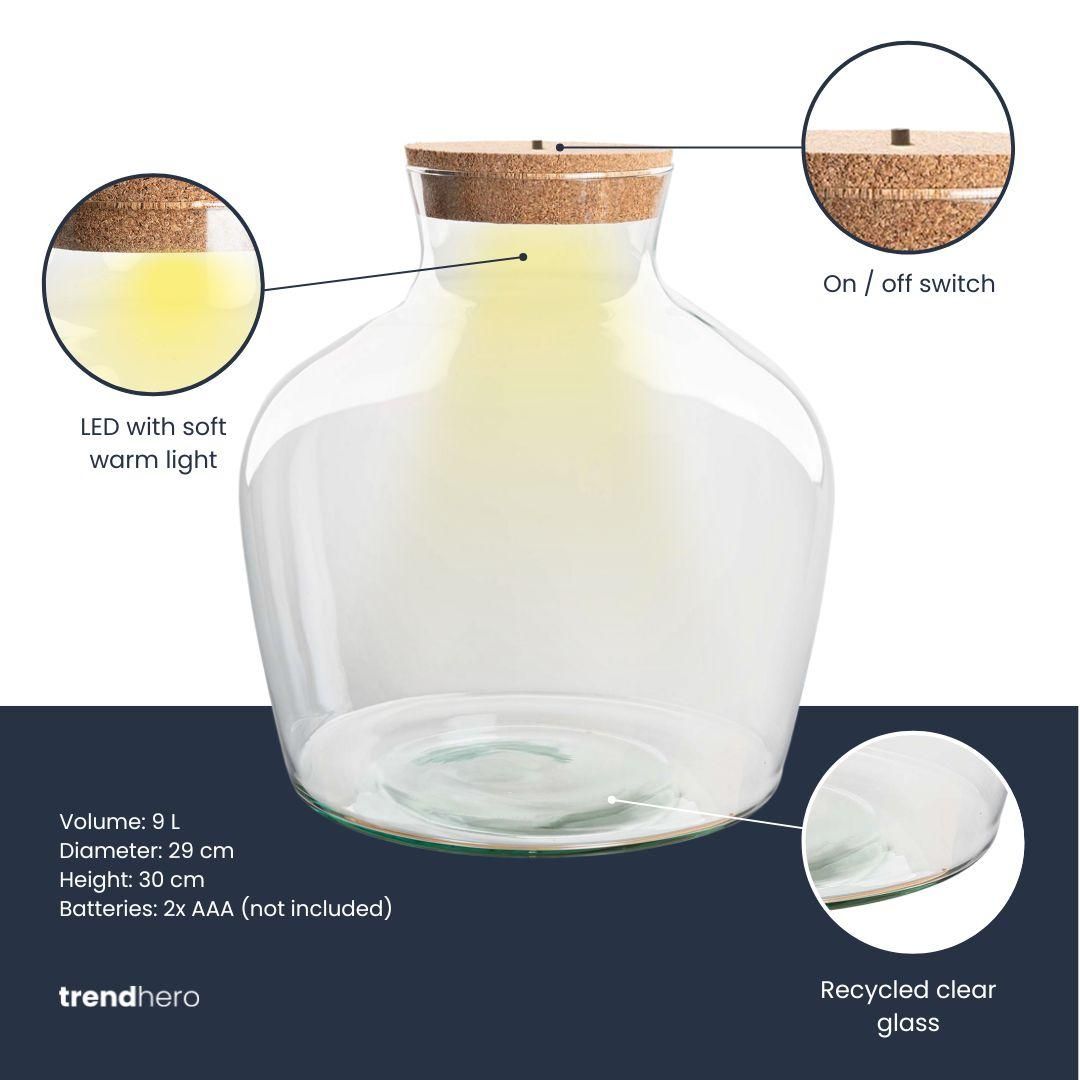 Terrarium fles met verlichting - Fat Joe - Ø 29 cm ↑ 30 cm (8720872023601)