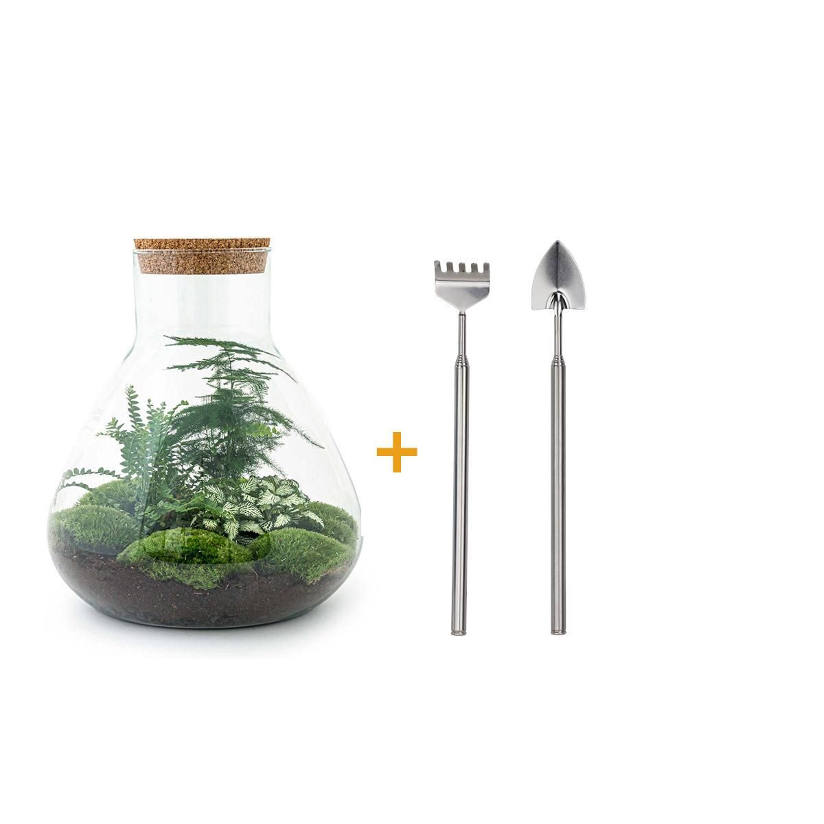 DIY Planten terrarium met licht - Sam XL Green - Ø 30 cm ↑ 32 cm - Rake + Shovel (8720726958035)