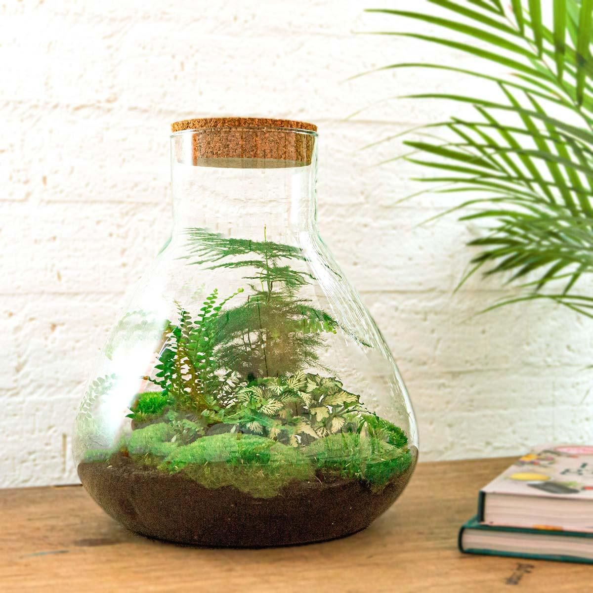 DIY Planten terrarium met licht - Sam XL Green - Ø 30 cm ↑ 32 cm - Rake + Shovel (8720726958035)