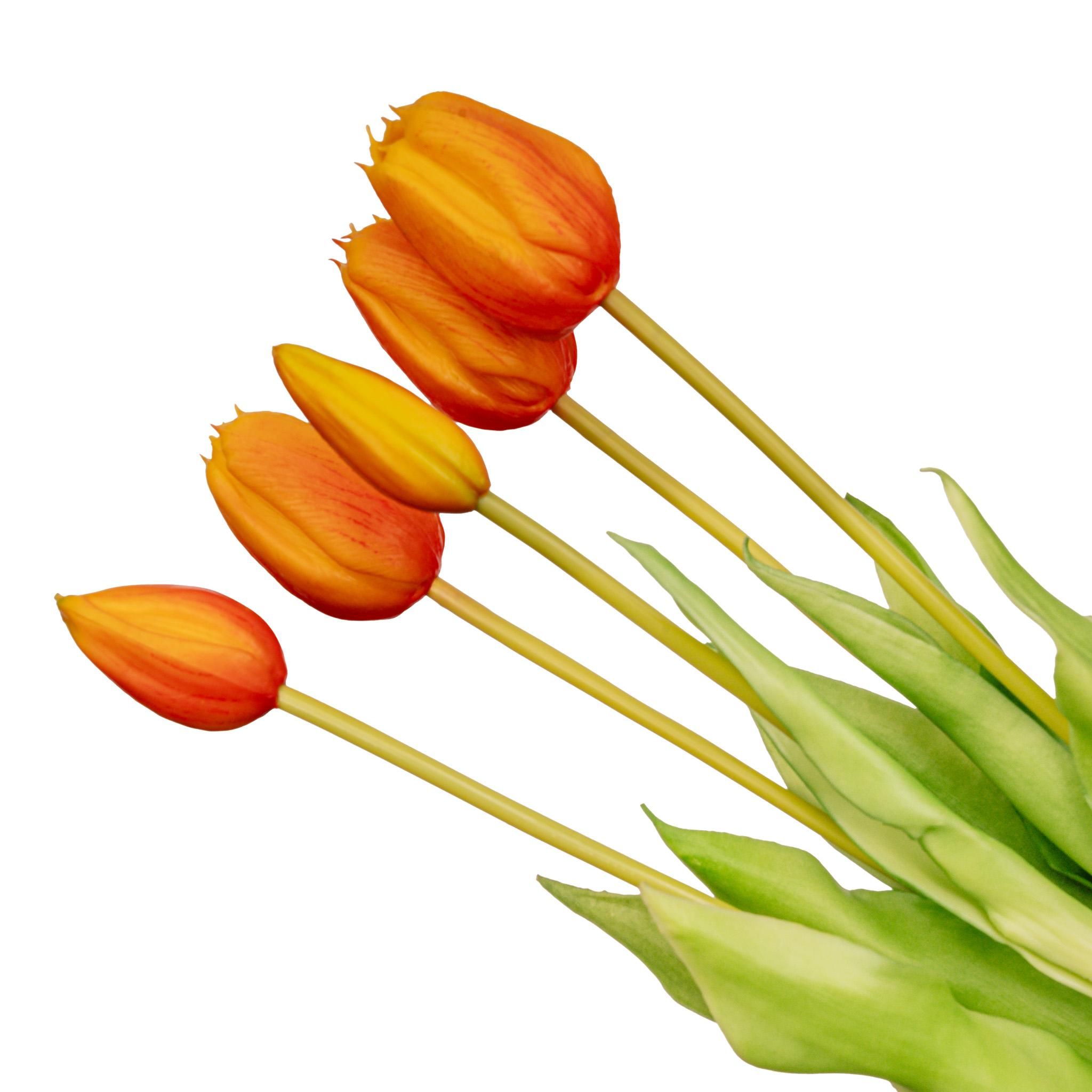 Vaas Jessie Strik + 10x real touch Tulpen Orange (8720872023816)