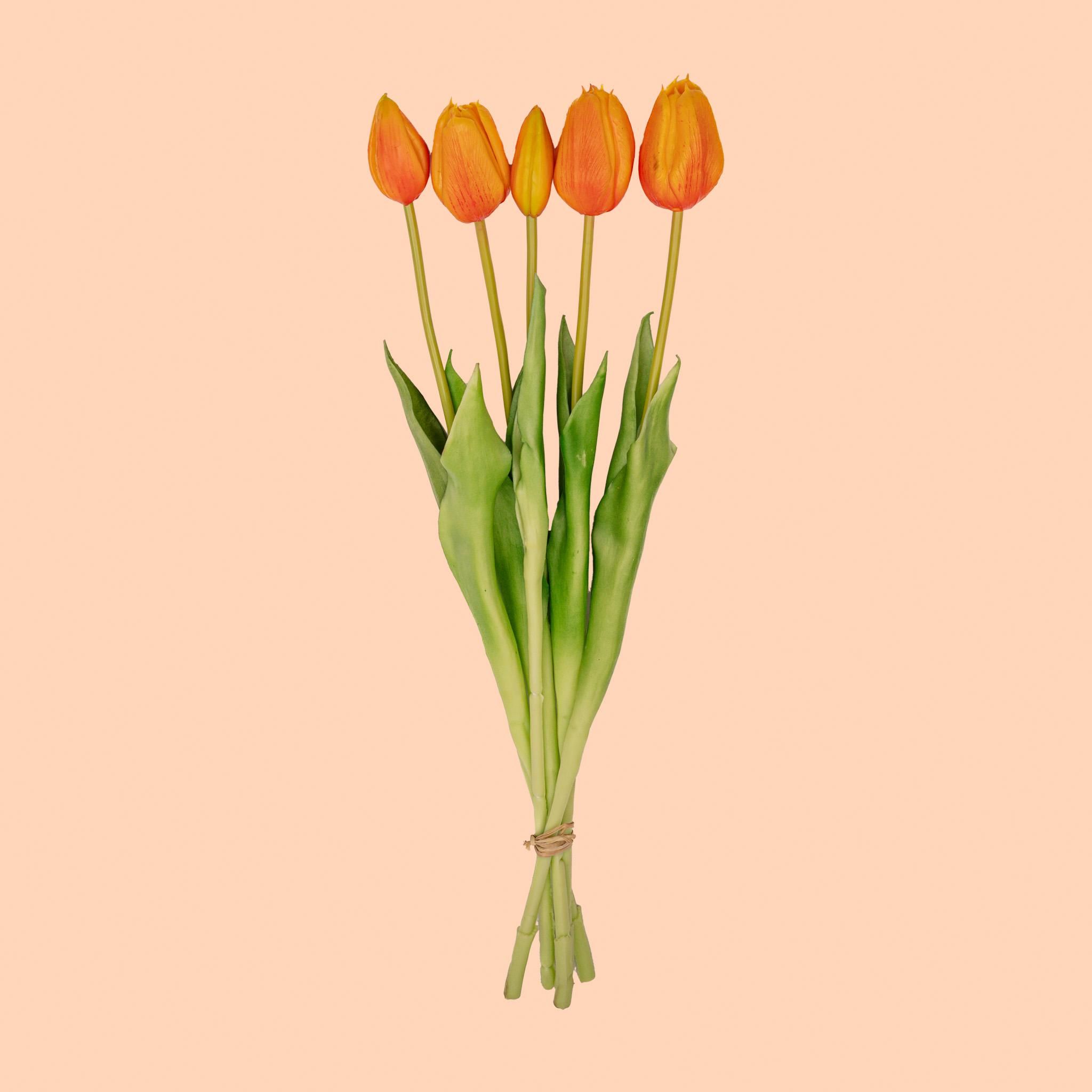 Vaas Jessie Strik + 10x real touch Tulpen Orange (8720872023816)