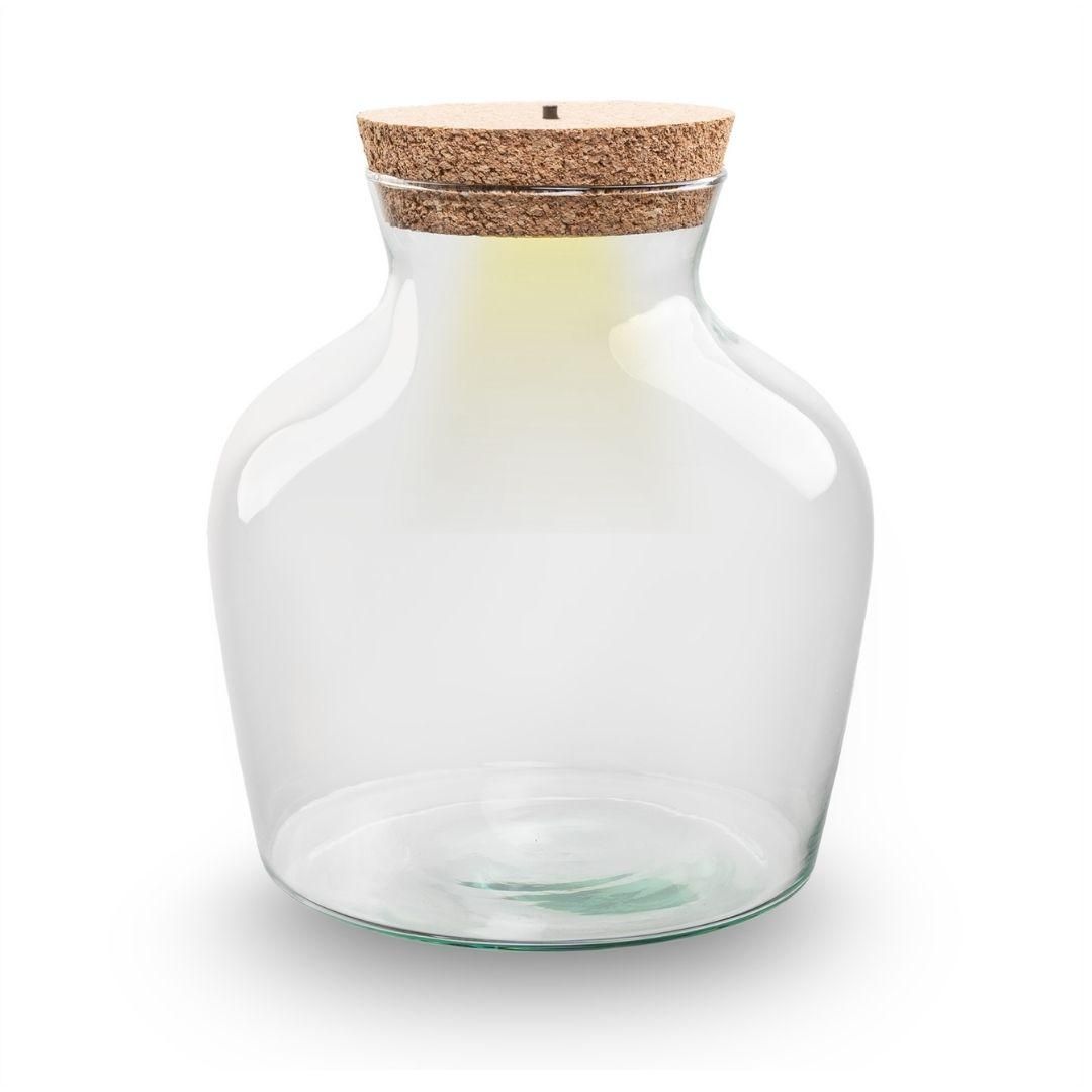 Terrarium fles met verlichting - Little Joe - Ø 20 cm ↑ 22 cm (8720872024677)