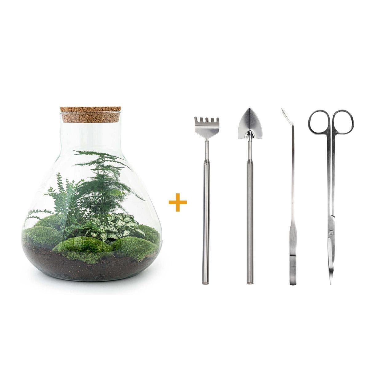 DIY Planten terrarium met licht - Sam XL Green - Ø 30 cm ↑ 32 cm - Rake + Shovel + Tweezer + Scissors (8720726958059)