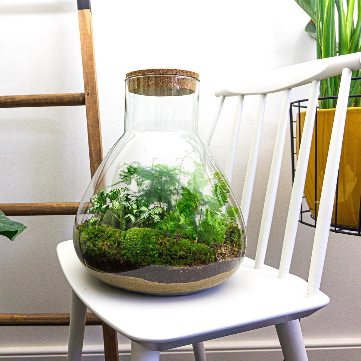 DIY Planten terrarium met licht - Sam XL Green - Ø 30 cm ↑ 32 cm - Rake + Shovel + Tweezer + Scissors (8720726958059)