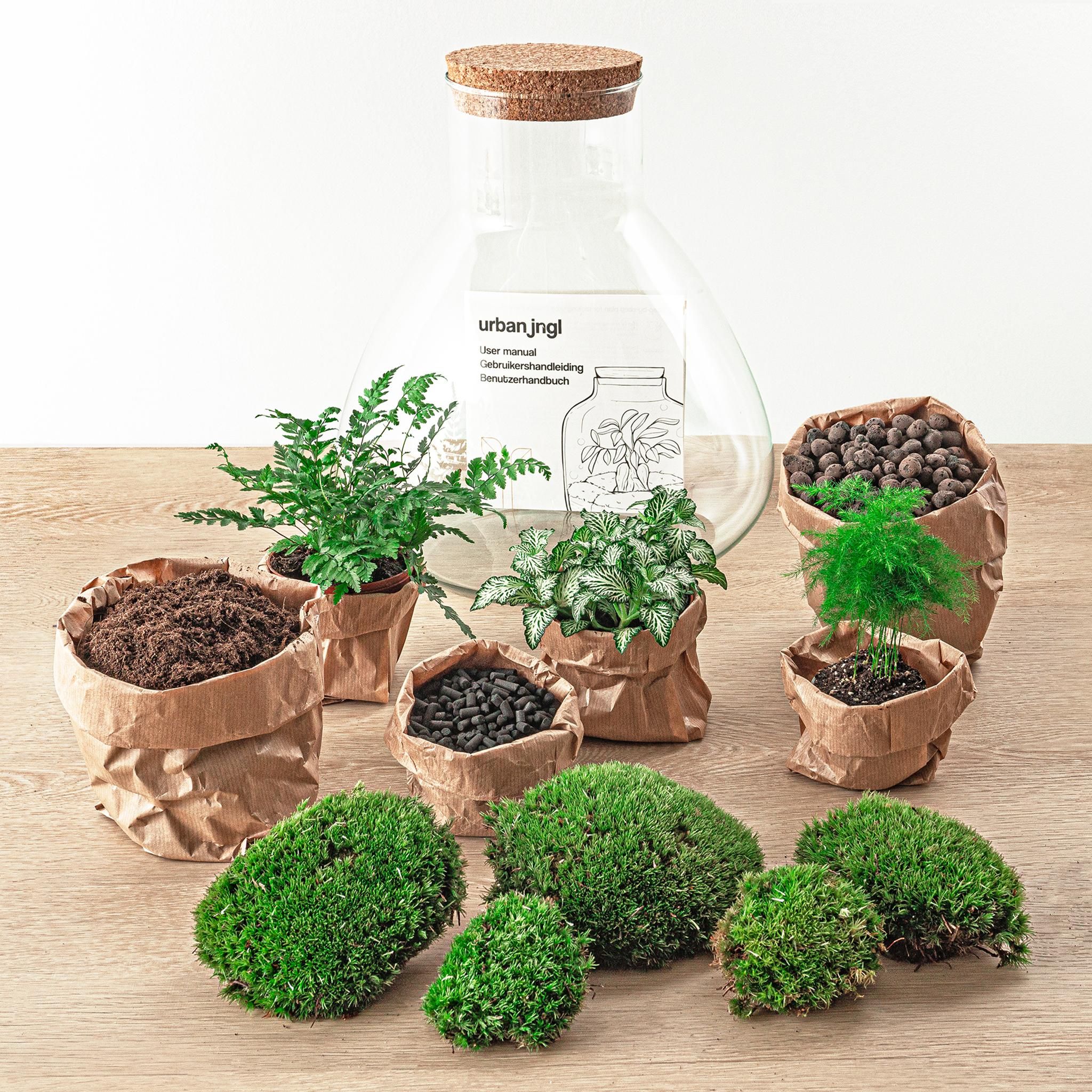 DIY Planten terrarium met licht - Sam XL Green - Ø 30 cm ↑ 32 cm - Rake + Shovel + Tweezer + Scissors (8720726958059)