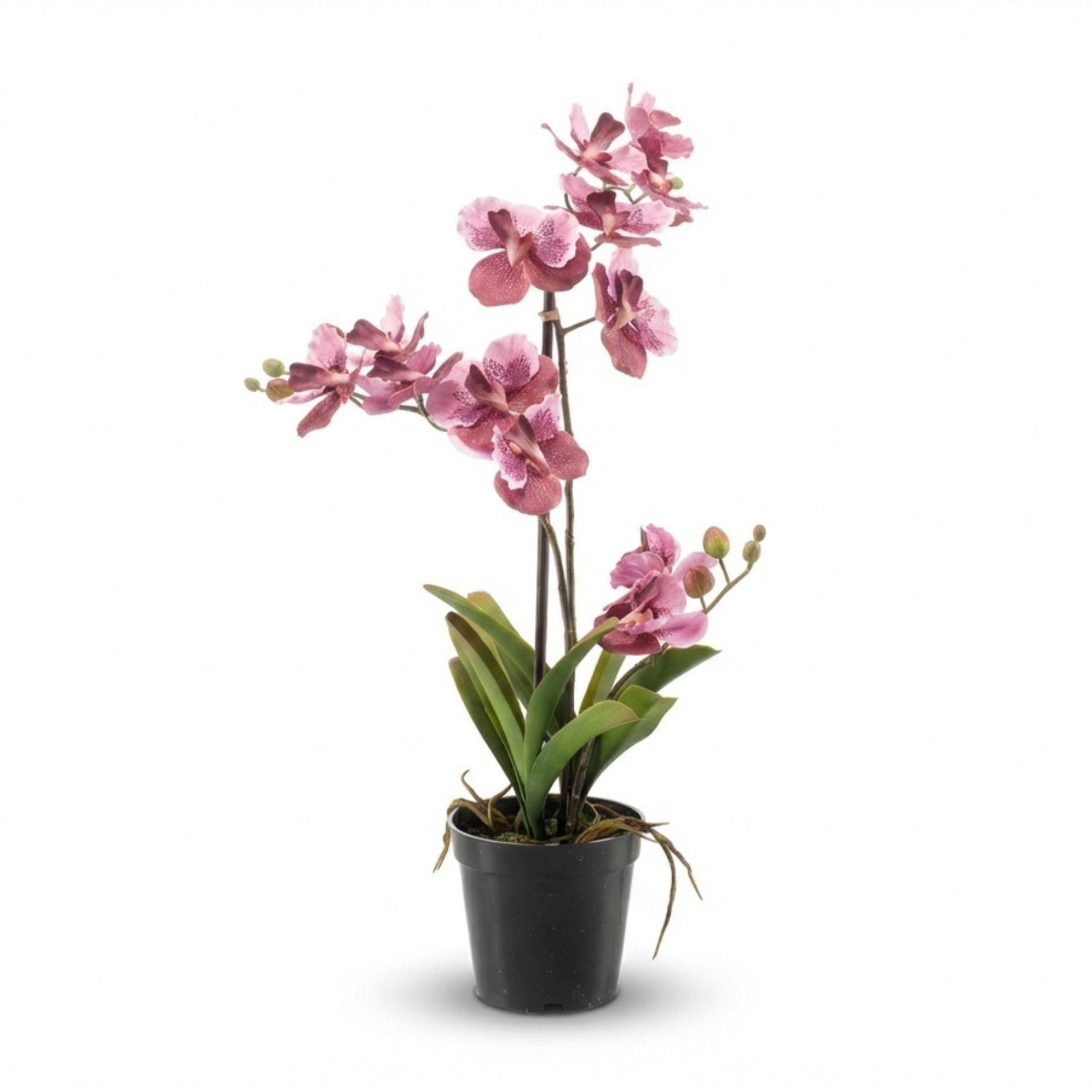 Orchidee Vanda kunstplant 60 cm - Oudroze - In pot - Artificial plant (8714344331912)