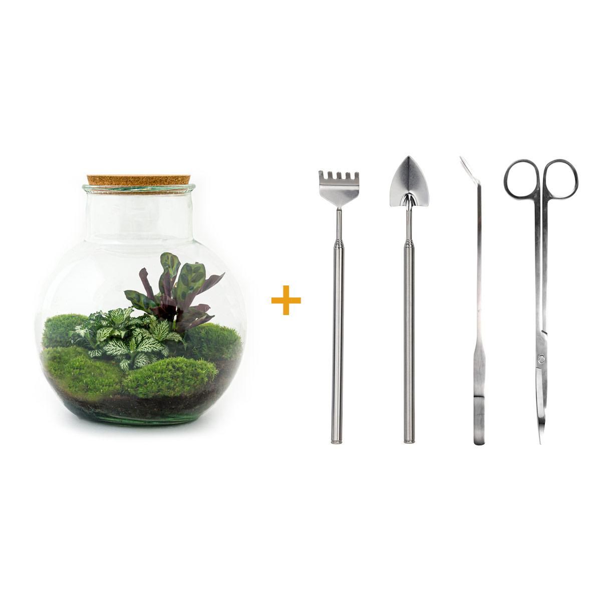 DIY Planten terrarium (met licht) - Teddy - Ø 25 cm ↑ 26,5 cm - Rake + Shovel + Tweezer + Scissors (8720726958400)
