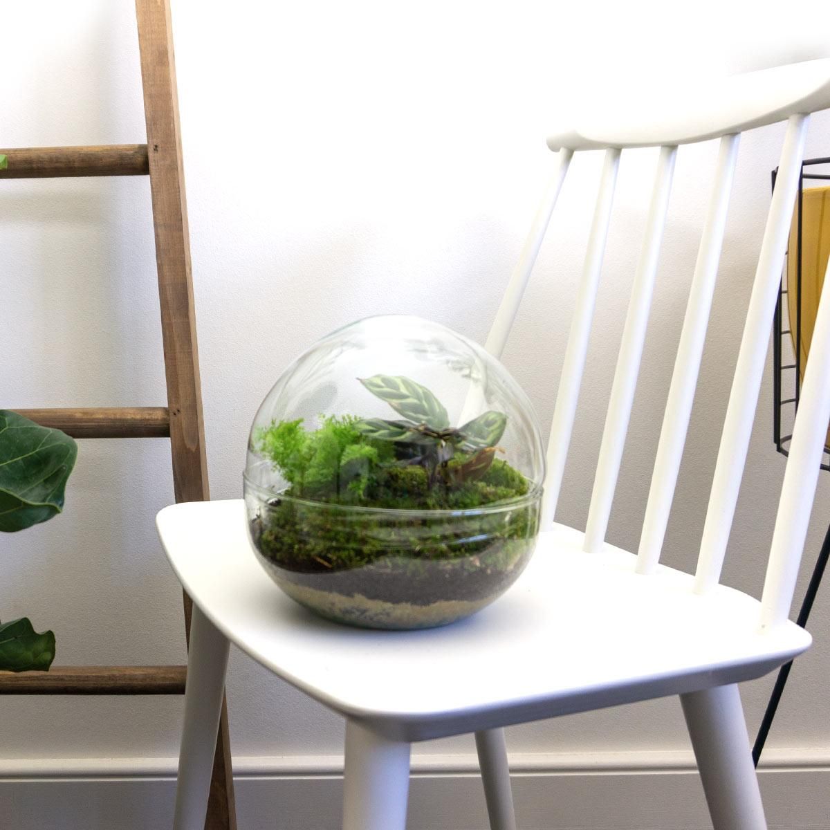 DIY Planten terrarium tweedelig bolglas - Dome - Ø 20 cm ↑ 20 cm - Rake + Shovel (8720726958721)