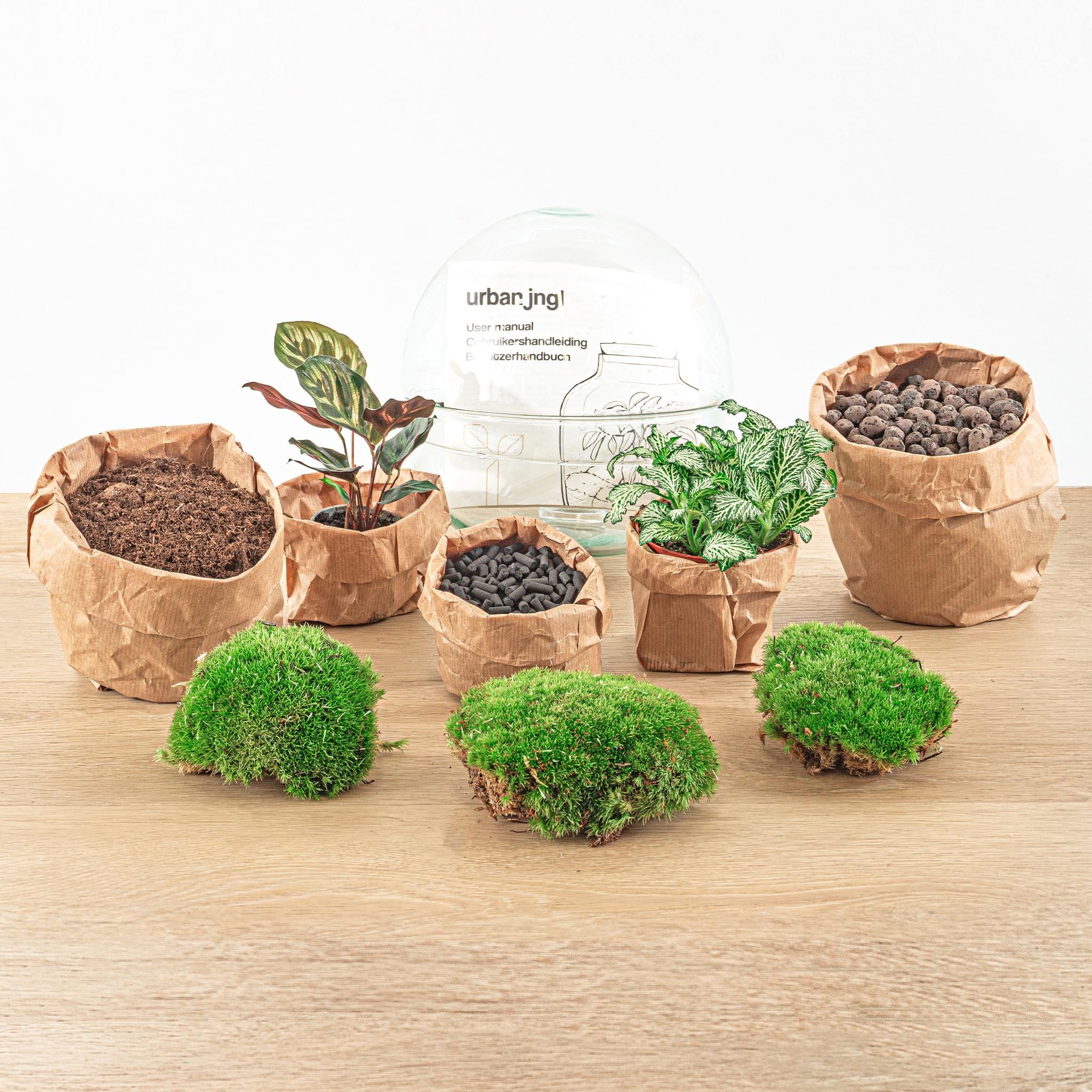 DIY Planten terrarium tweedelig bolglas - Dome - Ø 20 cm ↑ 20 cm - Rake + Shovel (8720726958721)